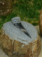 Granite Crow
