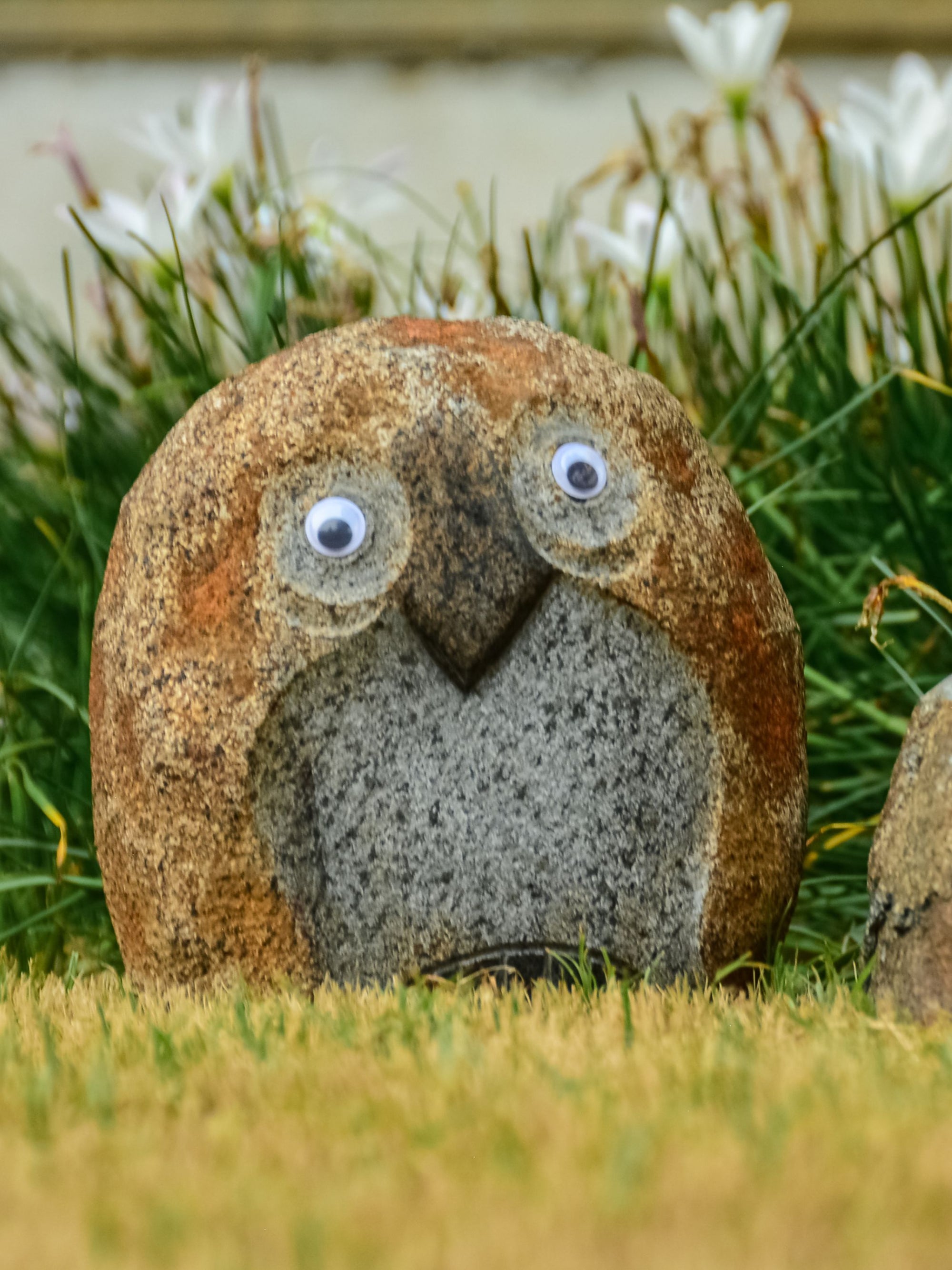 Granite Owl