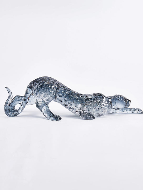 Grey Panther