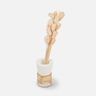 Sacred Scent-50ML