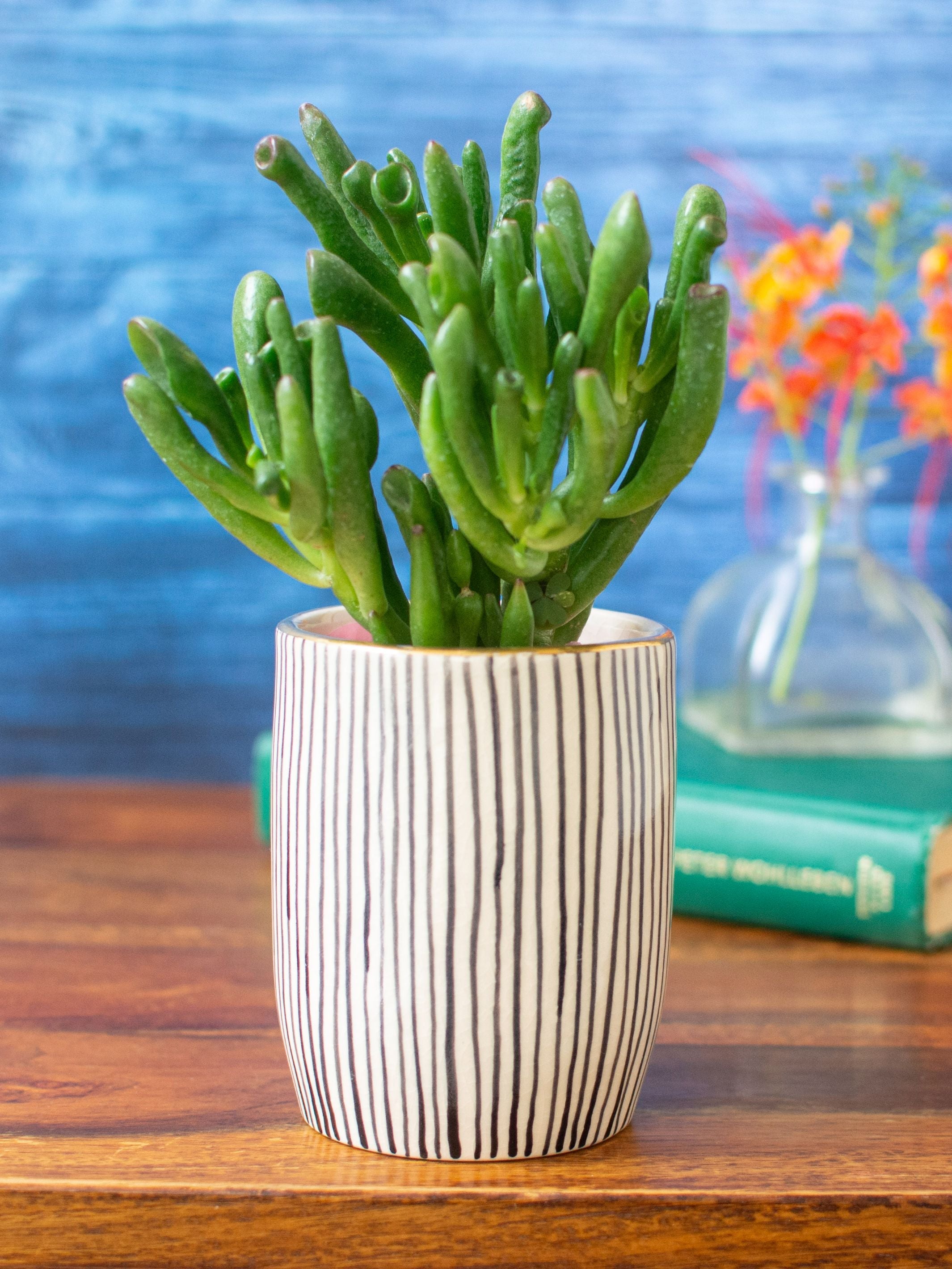 Handpainted Striped Ceramic Black Tabletop Planter