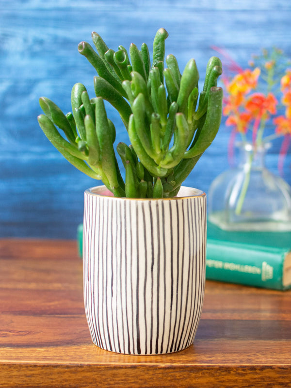 Handpainted Striped Ceramic Black Tabletop Planter