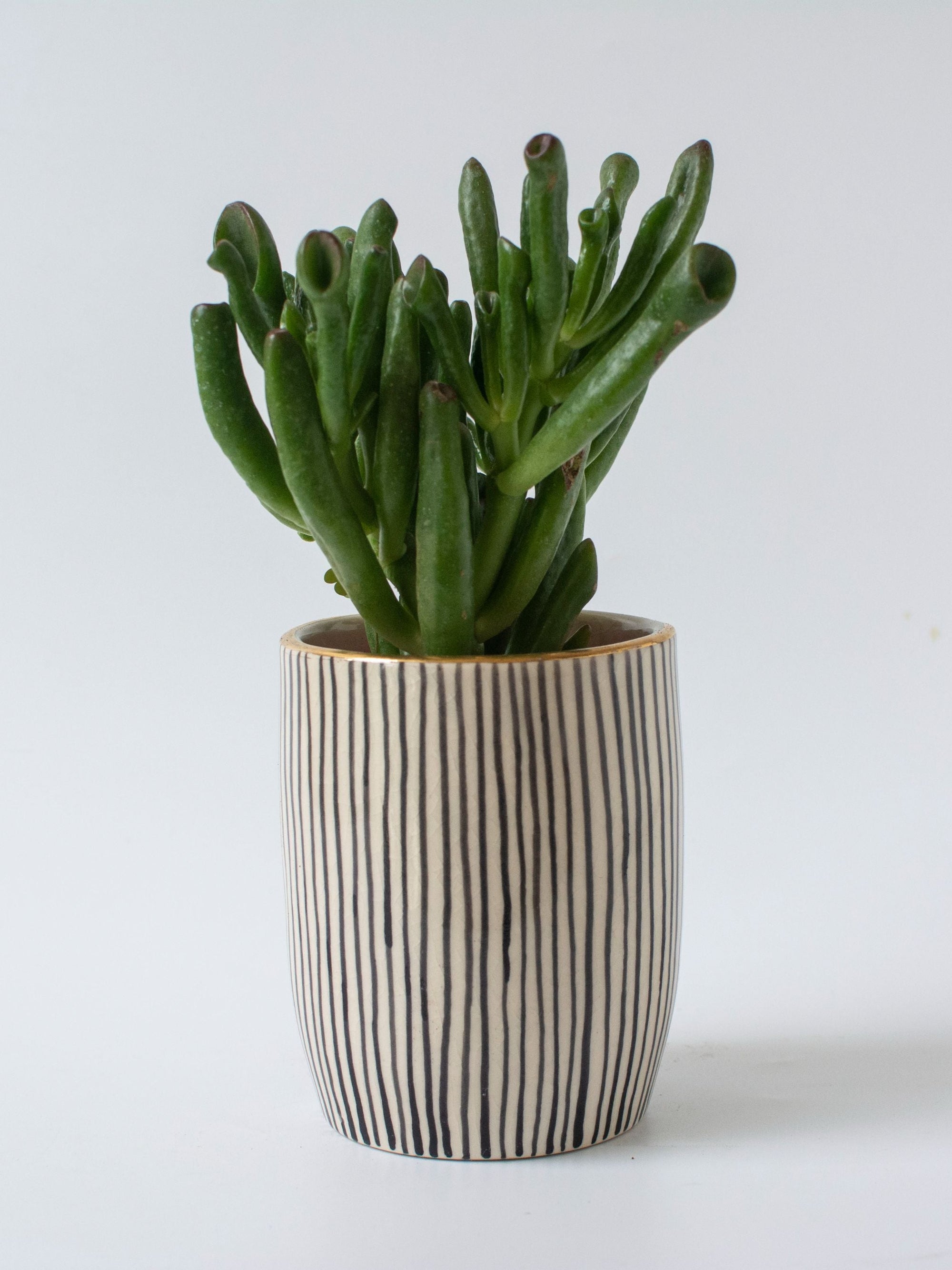 Handpainted Striped Ceramic Black Tabletop Planter