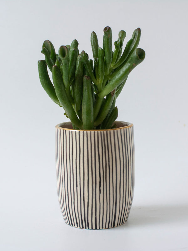 Handpainted Striped Ceramic Black Tabletop Planter
