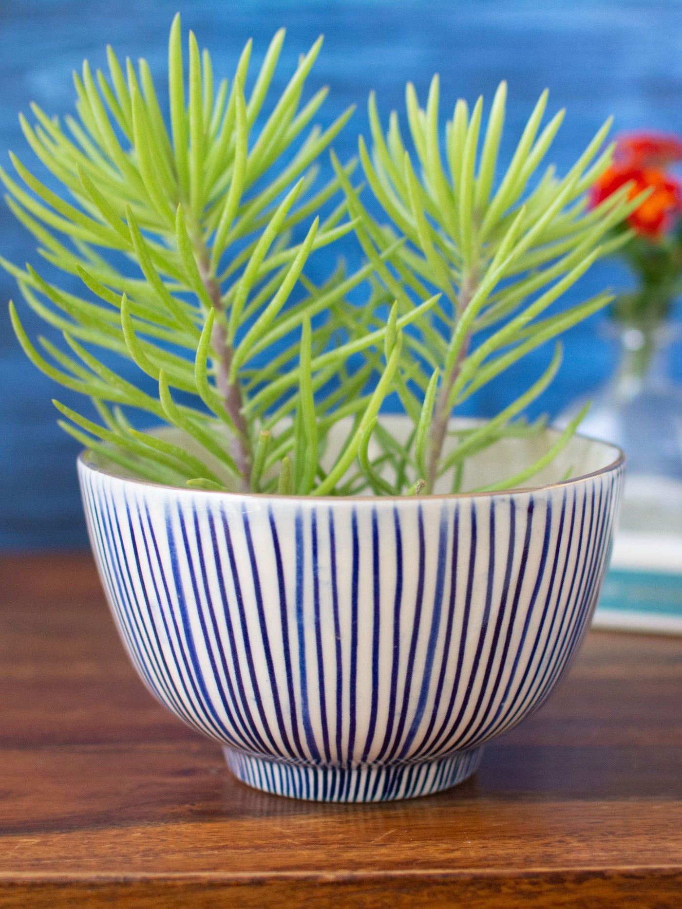 Handpainted Striped Ceramic Blue Round Planter