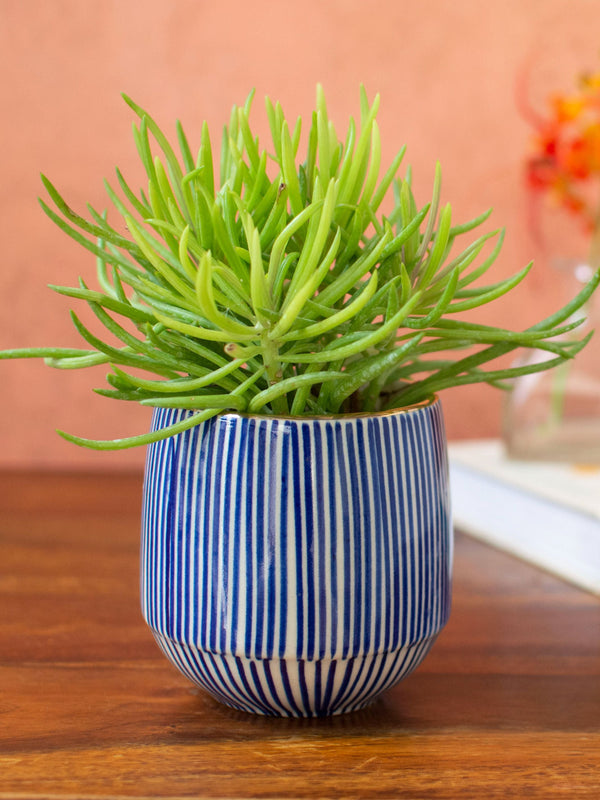 Handpainted Striped Ceramic Blue Succulent Planter