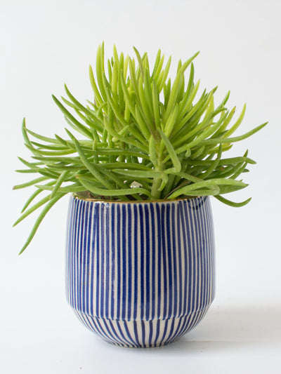 Handpainted Striped Ceramic Blue Succulent Planter