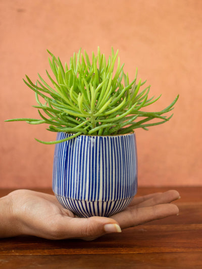 Handpainted Striped Ceramic Blue Succulent Planter