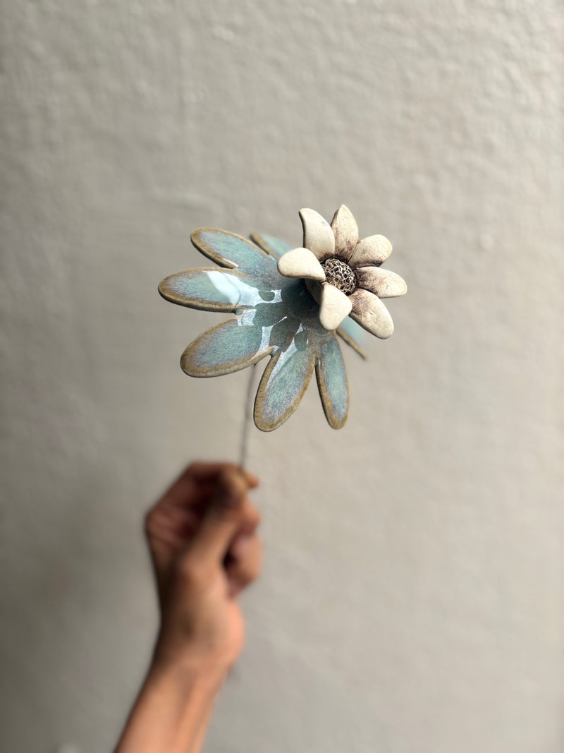 Blue Sungazer