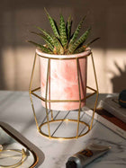 Hexagon Pink Planter