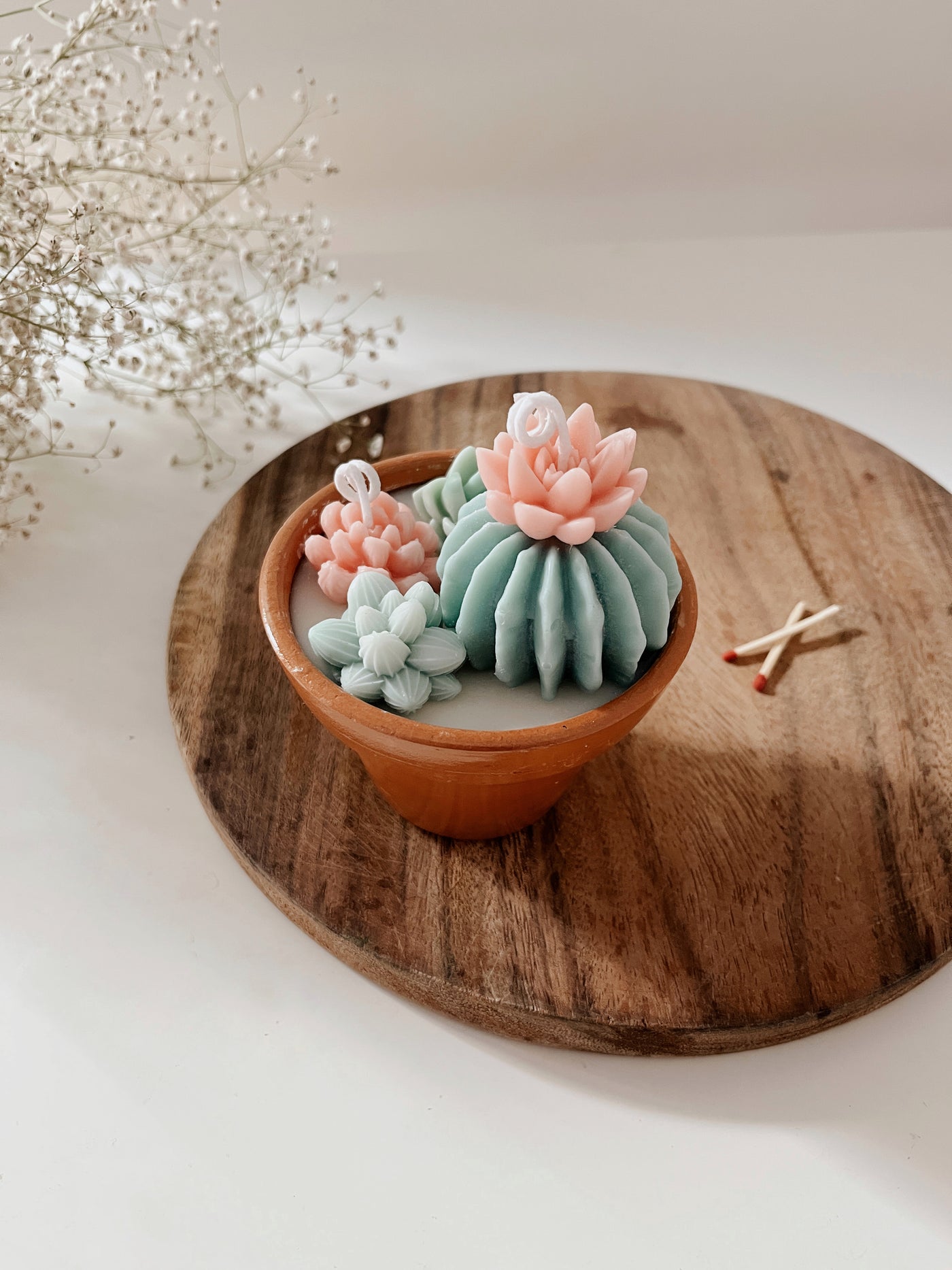 Cactus Garden Candle