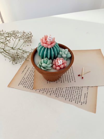 Cactus Garden Candle