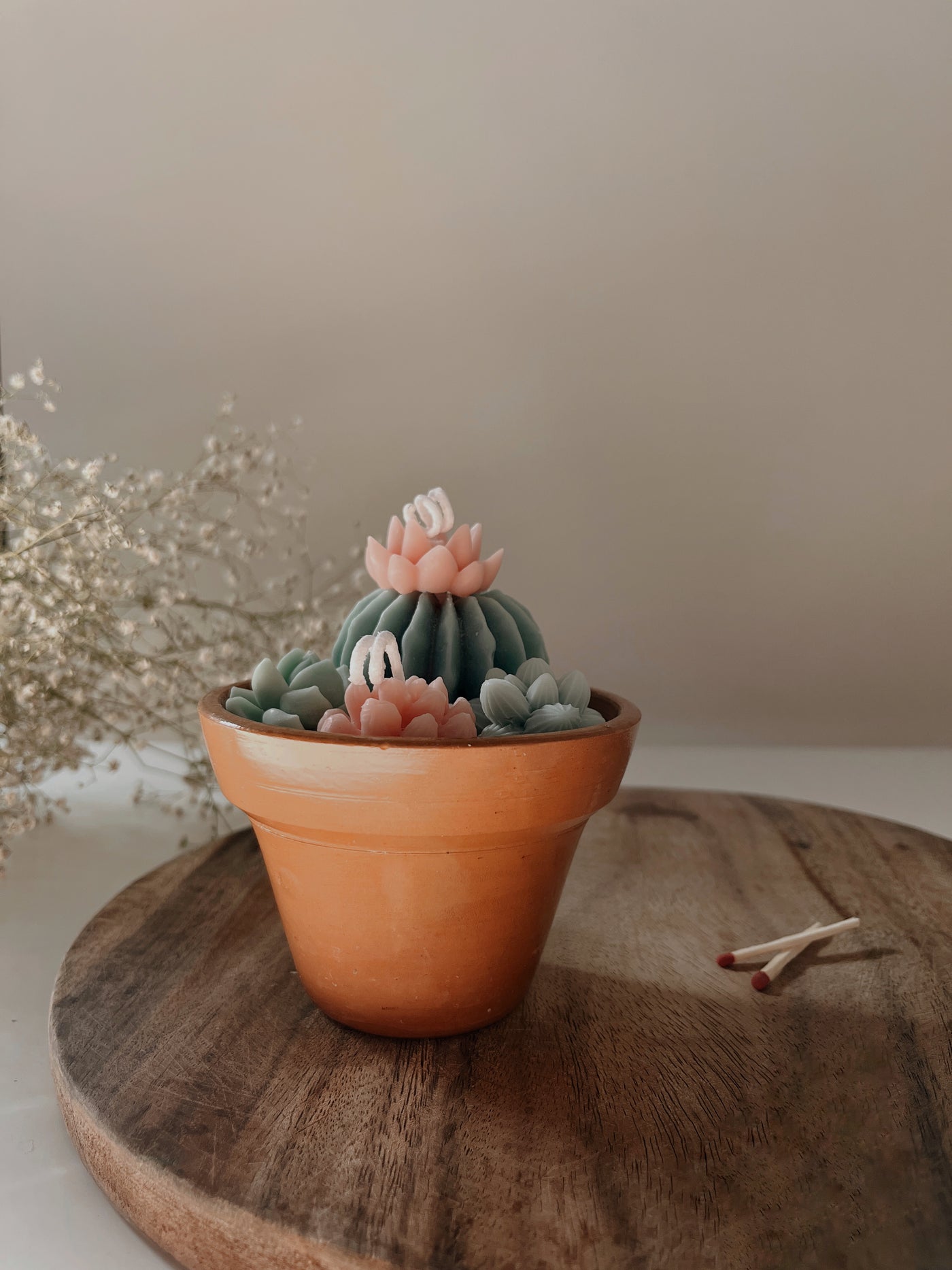 Cactus Garden Candle