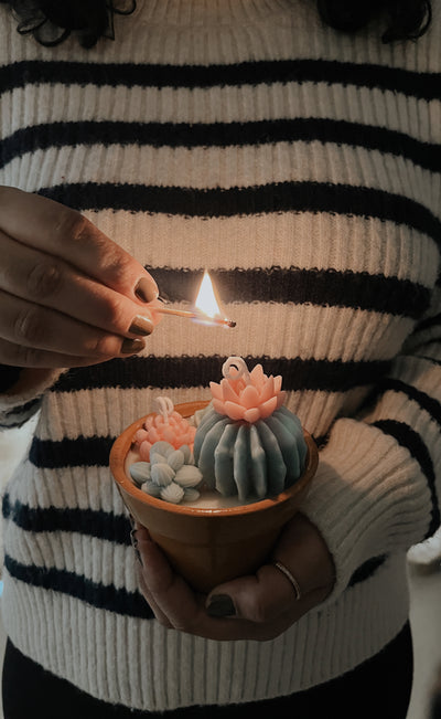 Cactus Garden Candle