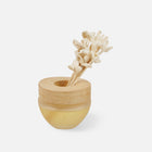 Petal Breeze-100ML
