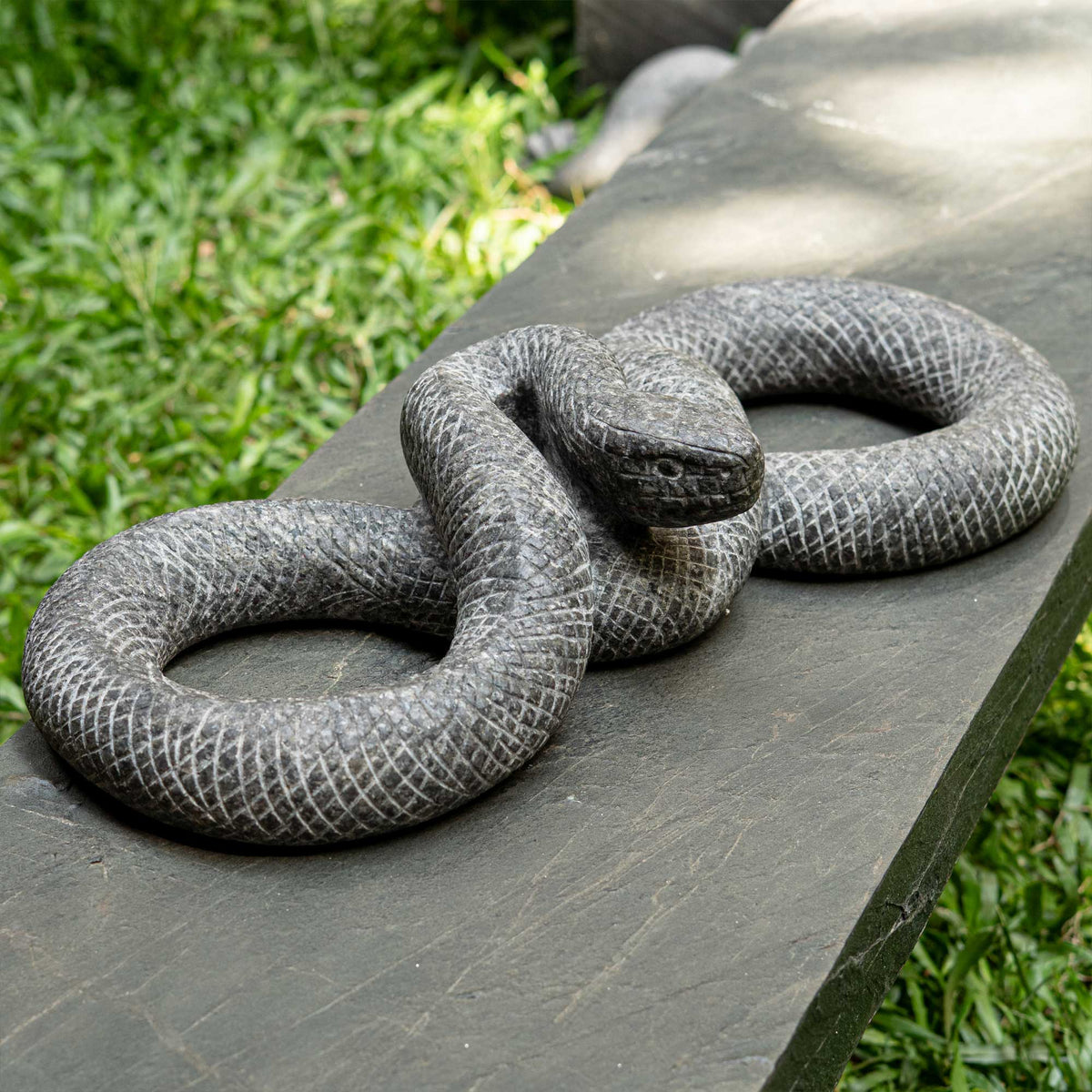 Kaa