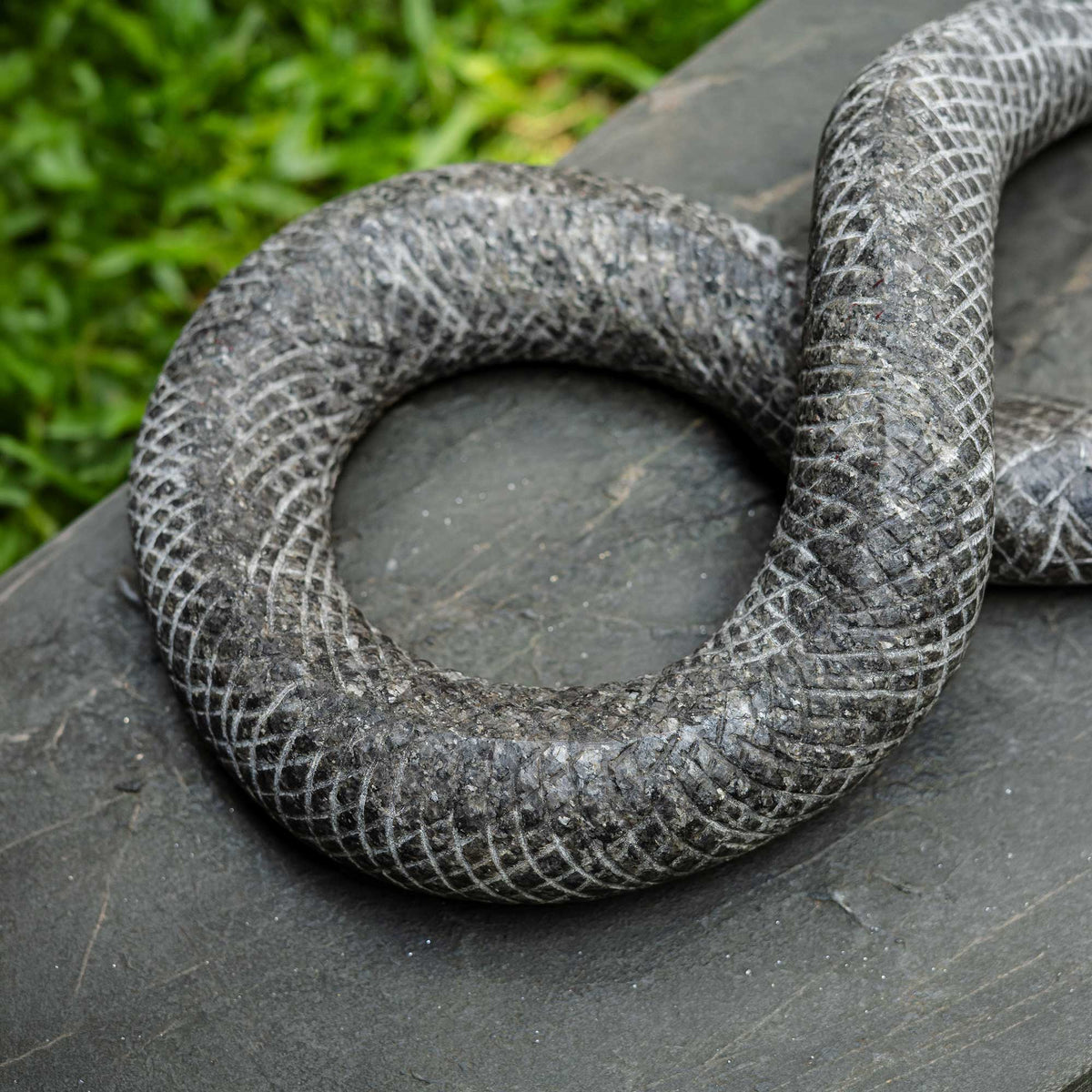 Kaa
