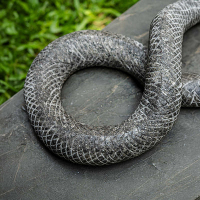 Kaa