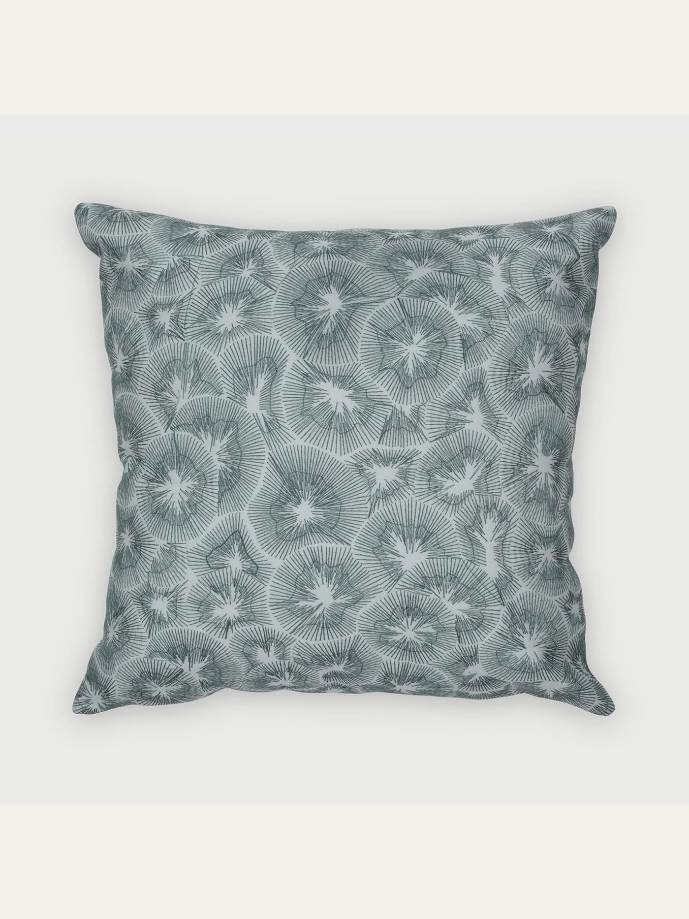 Kiwi Baby Blue Cushion Cover