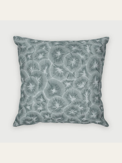 Kiwi Baby Blue Cushion Cover