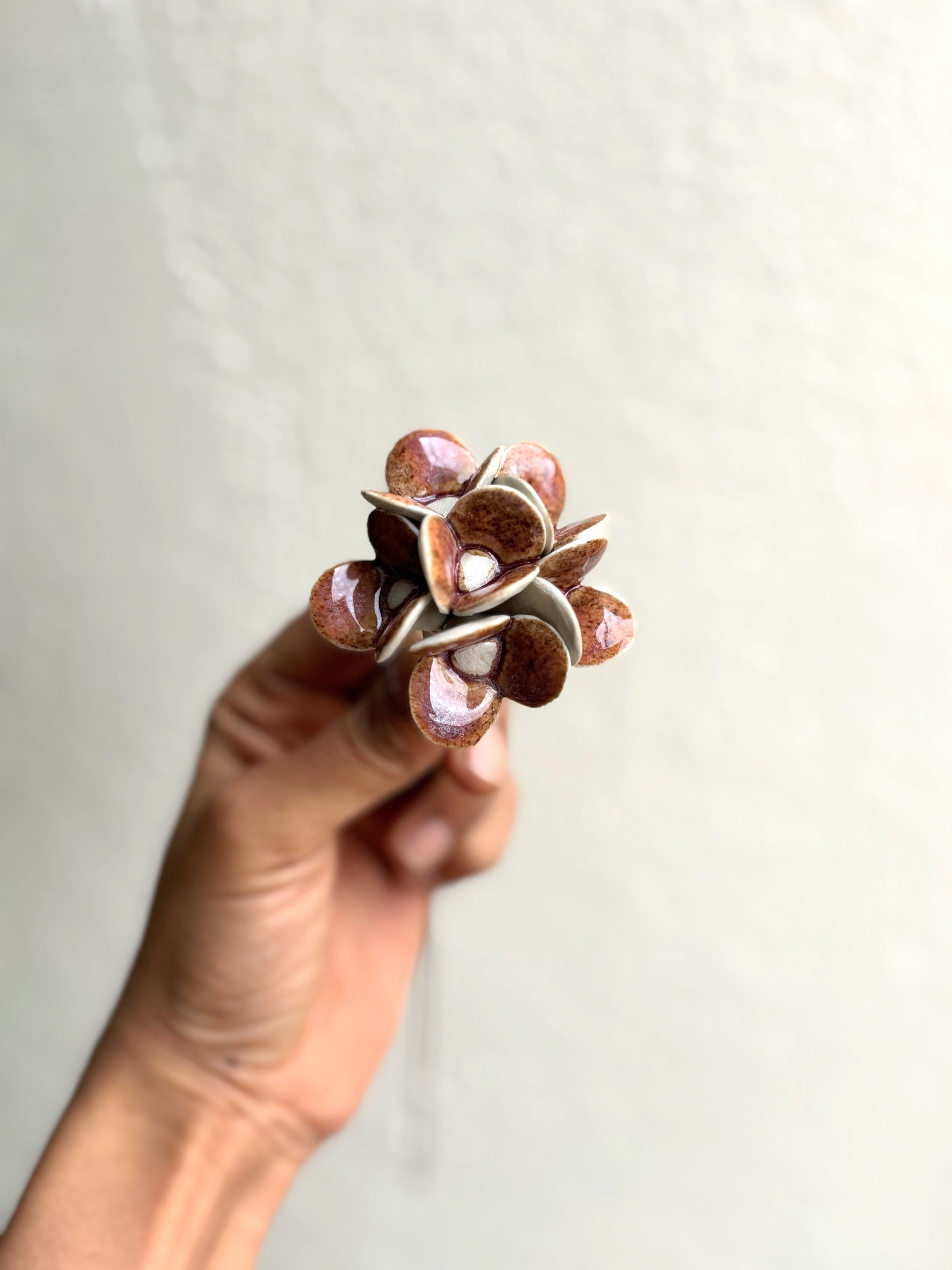 Magical Hydrengea - Single Flower Stem