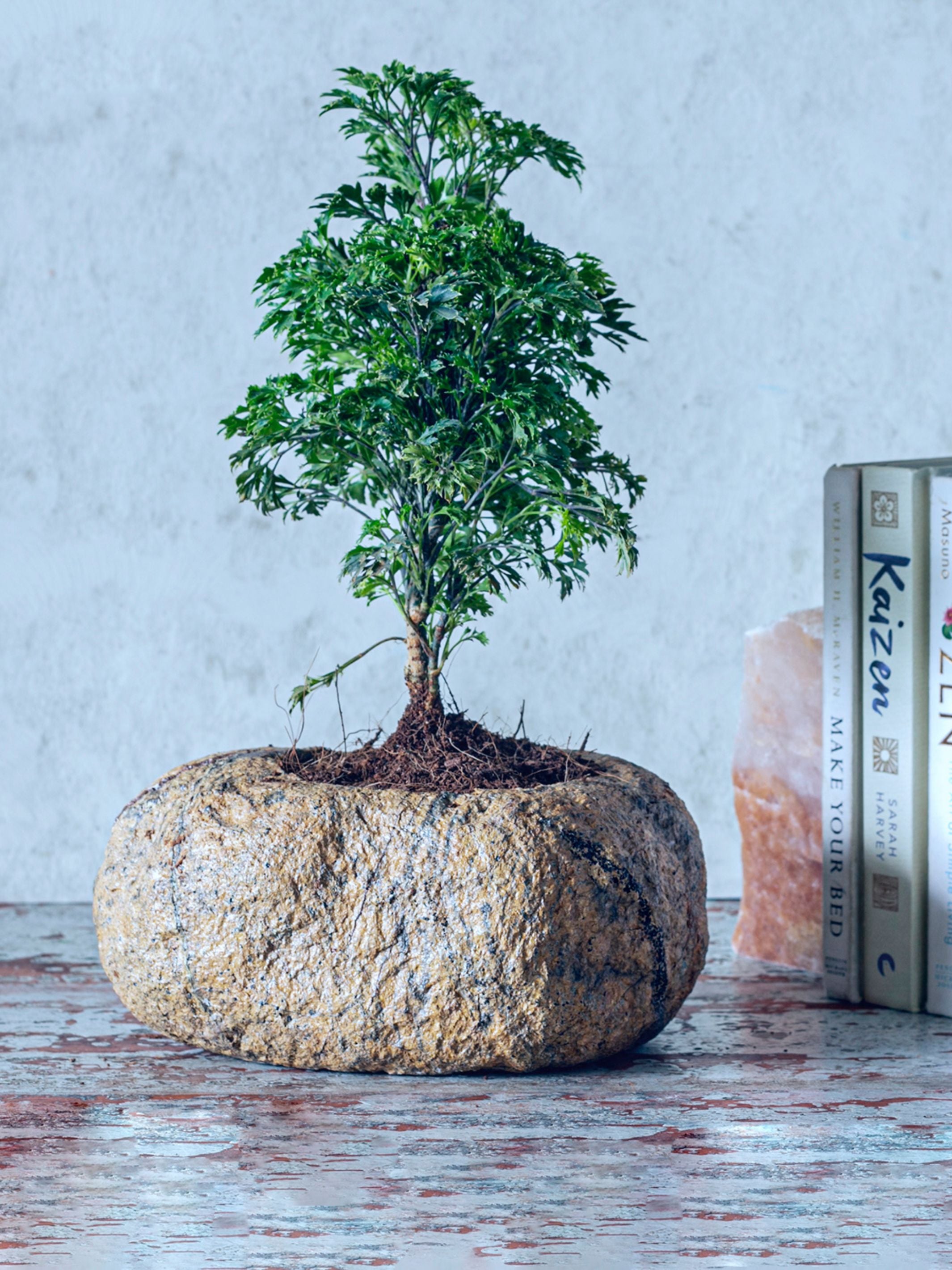 Marble Planter - Brown Small