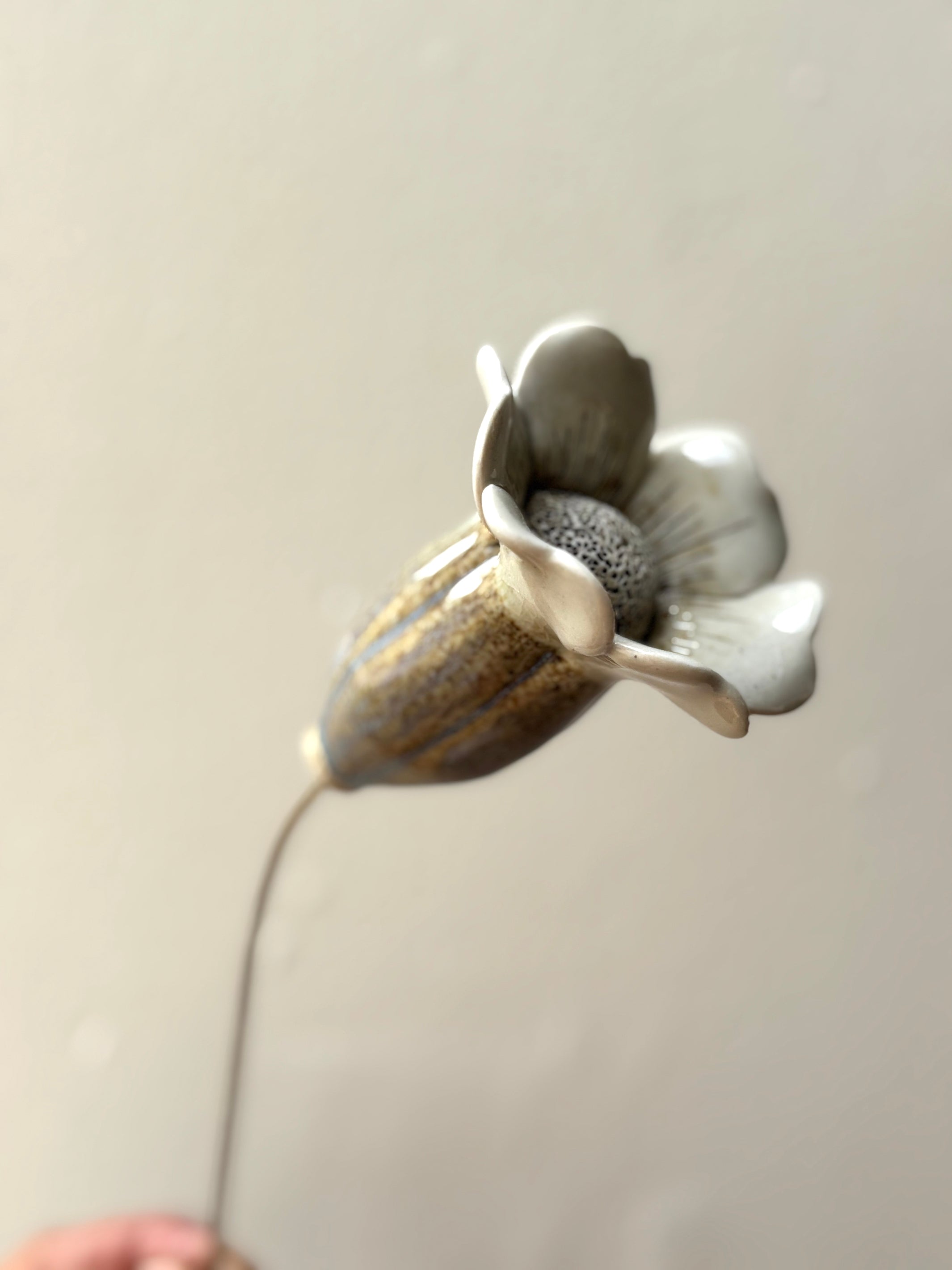 Midsummer Night's Dream -Speckled Blue