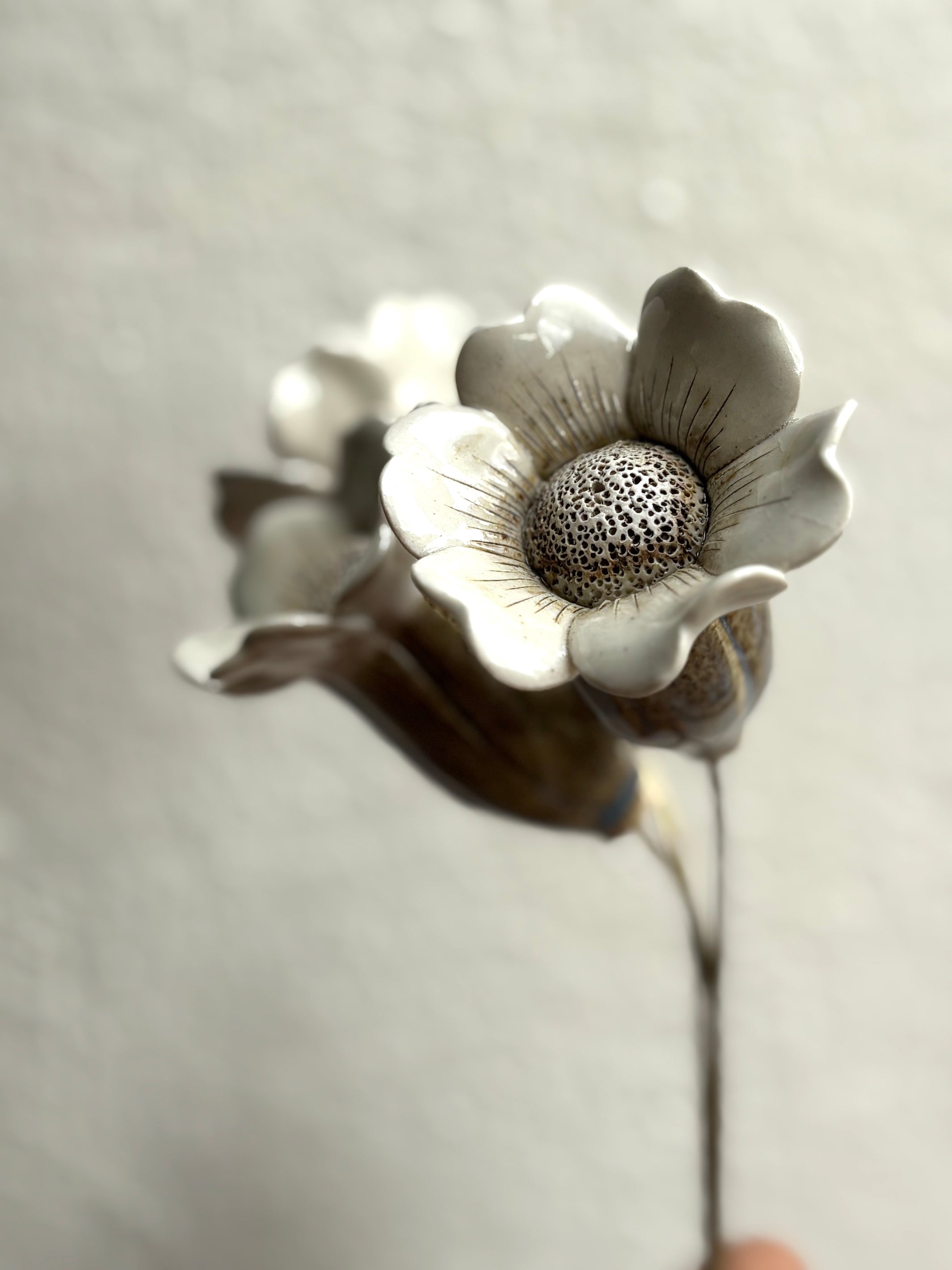 Midsummer Night's Dream -Speckled Blue