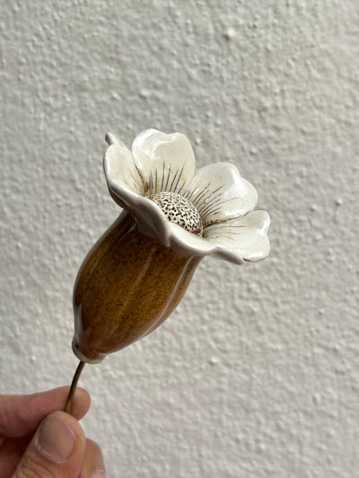 Midsummer Night's Dream- Mustard