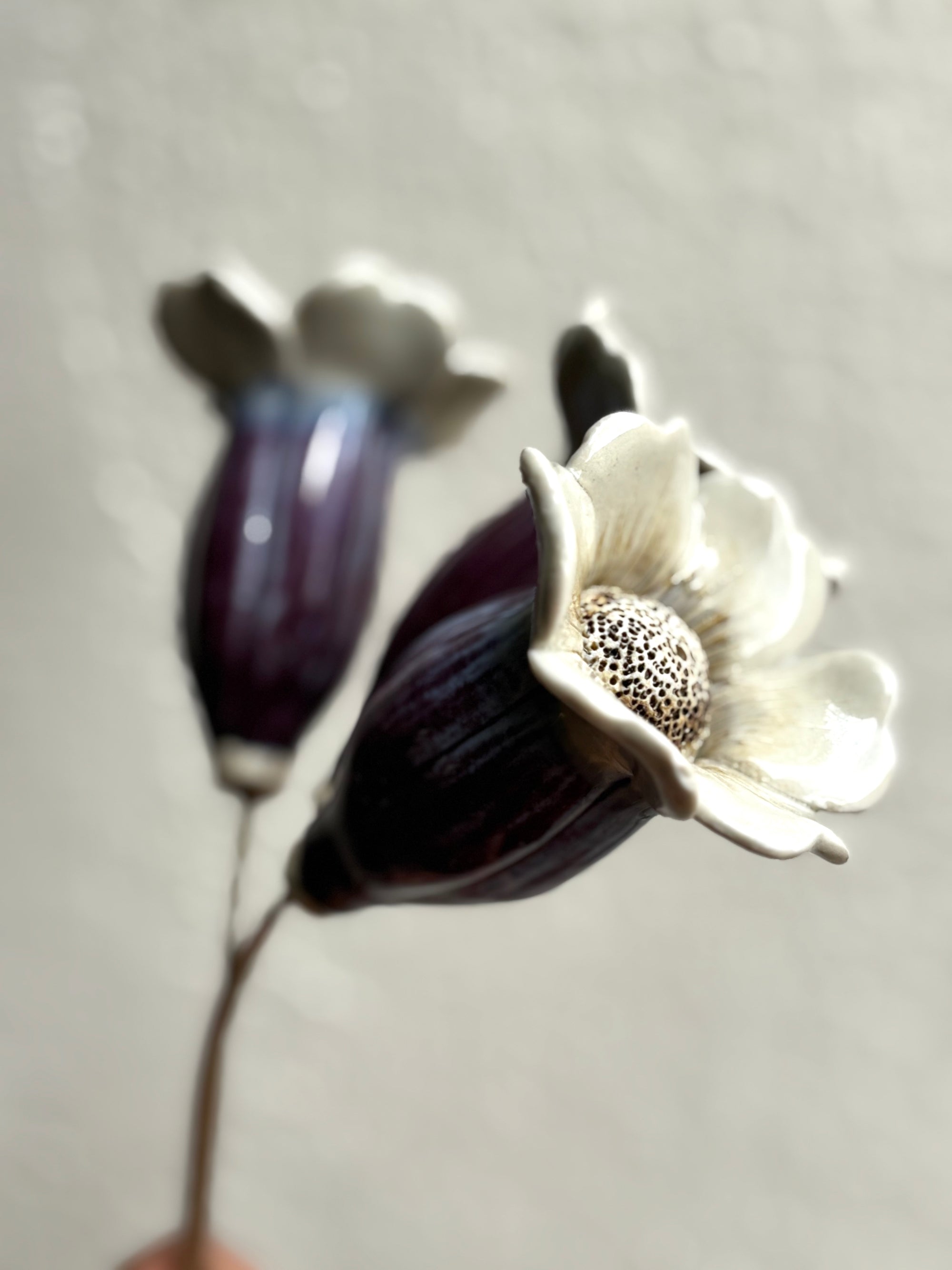 Midsummer Night's Dream - Purple