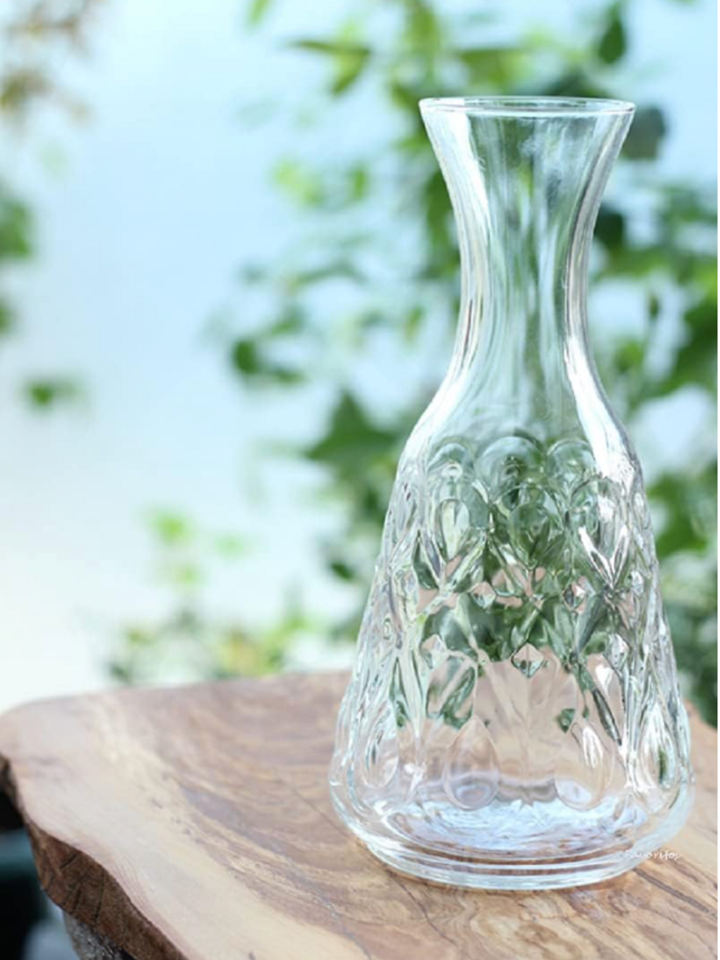 Carafon Lyonnais