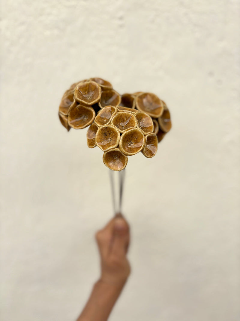 Moonflower Stem