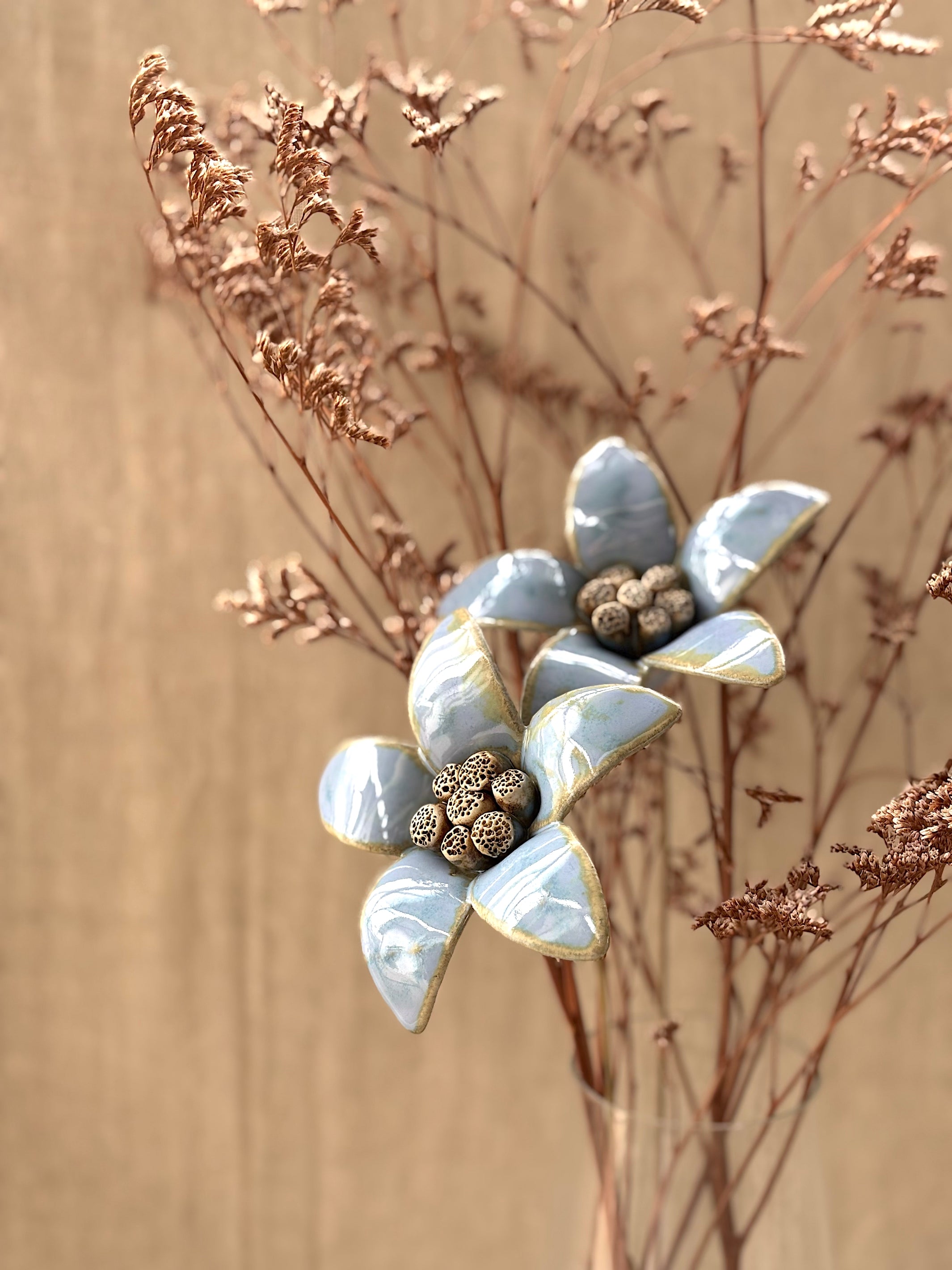 Moon Magnolia Blue Magic - Single Flower Stem - Product Image 