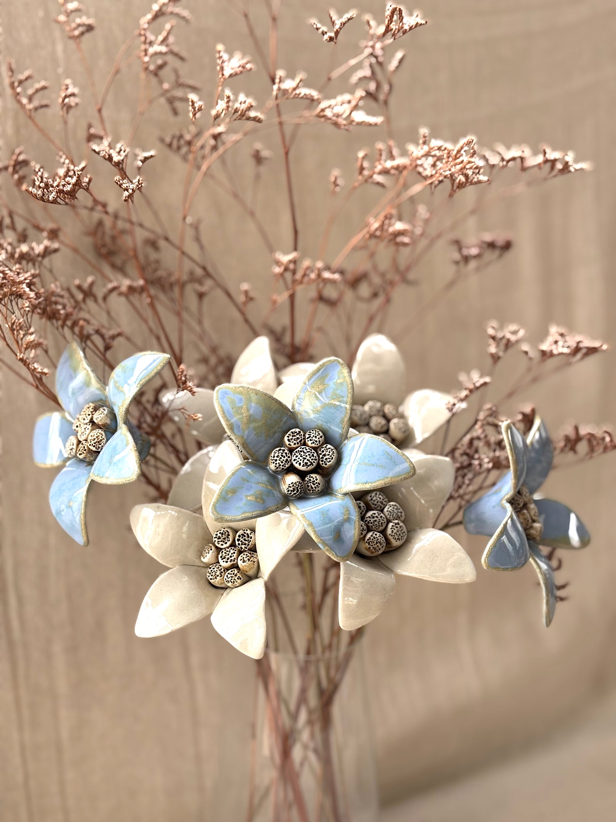 Moon Magnolia Blue Magic - Single Flower Stem