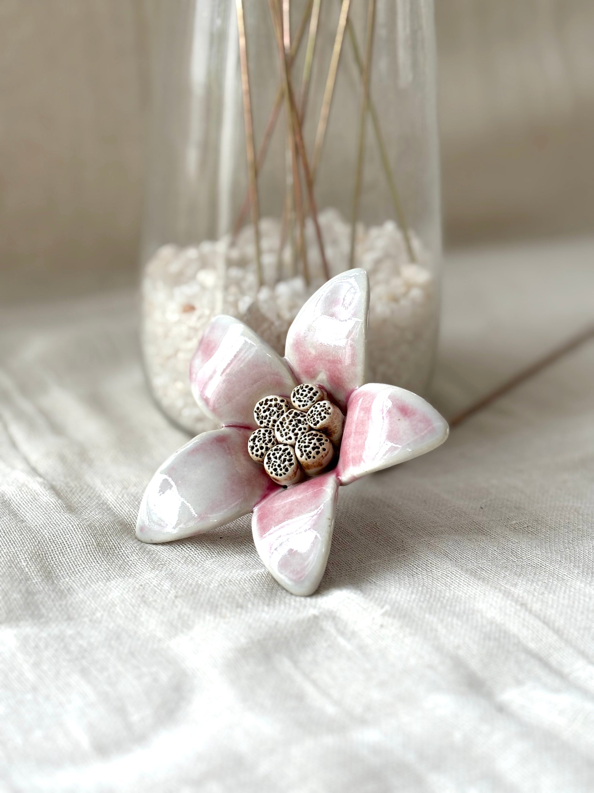 Moon Magnolia Blushing White - Single Flower Stem