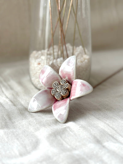 Moon Magnolia Blushing White - Single Flower Stem