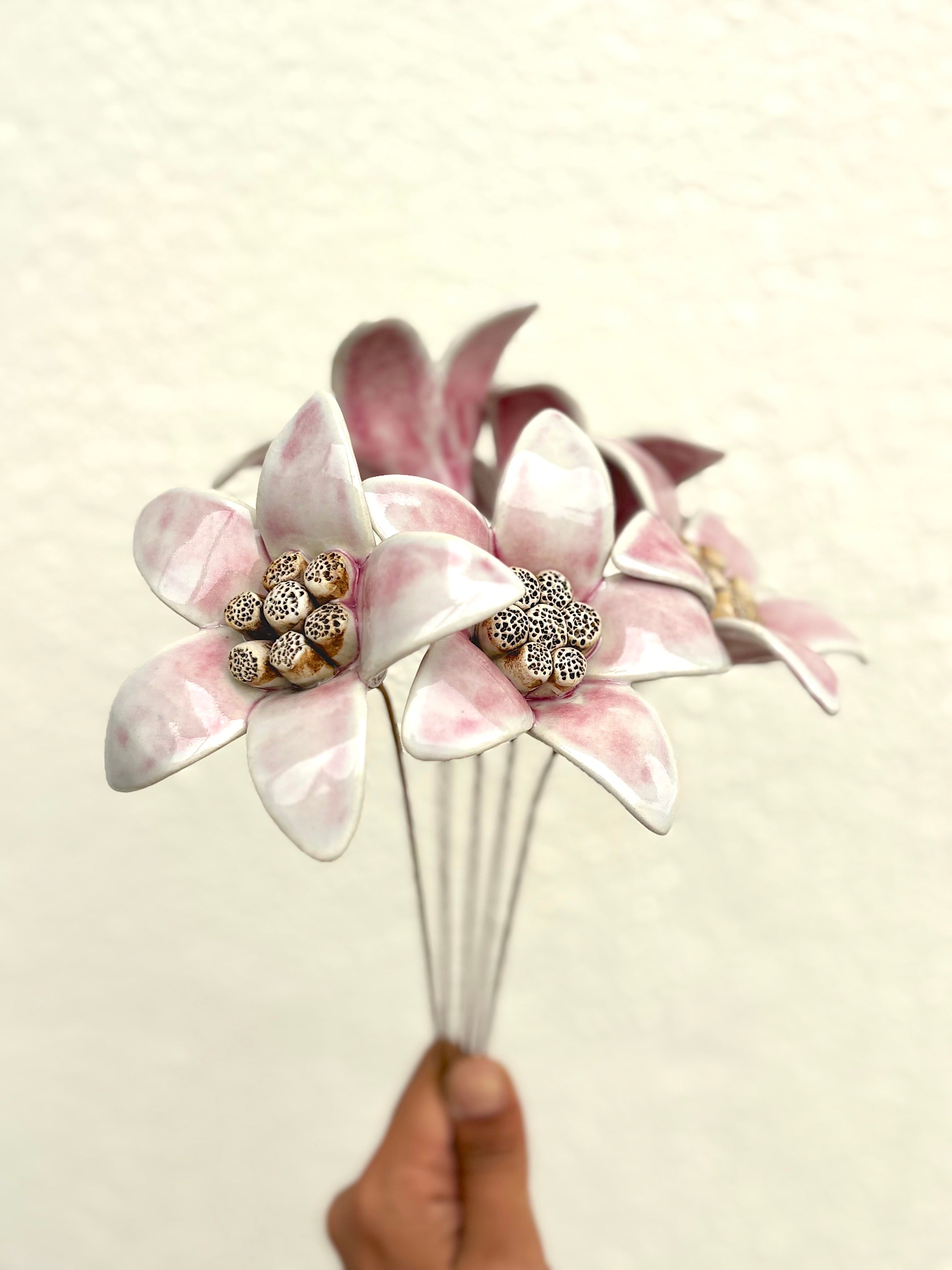 Moon Magnolia Blushing White - Single Flower Stem - Product Image 