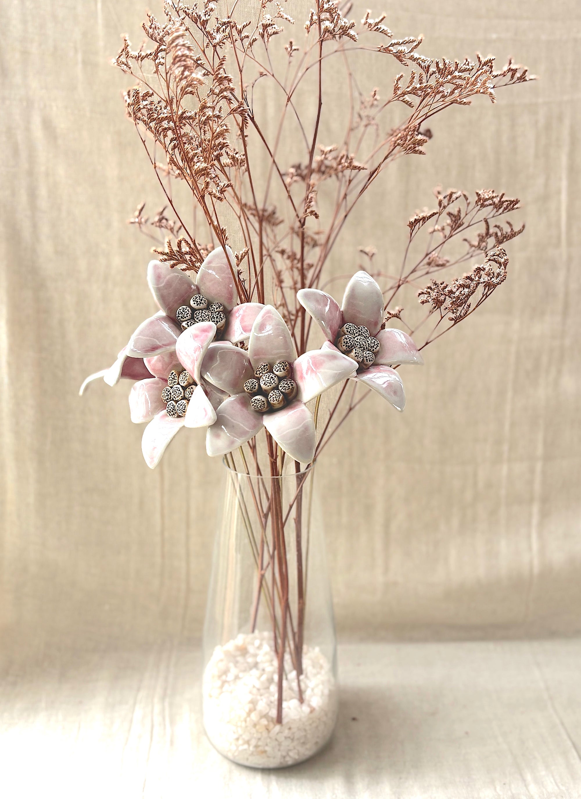 Moon Magnolia Blushing White - Single Flower Stem