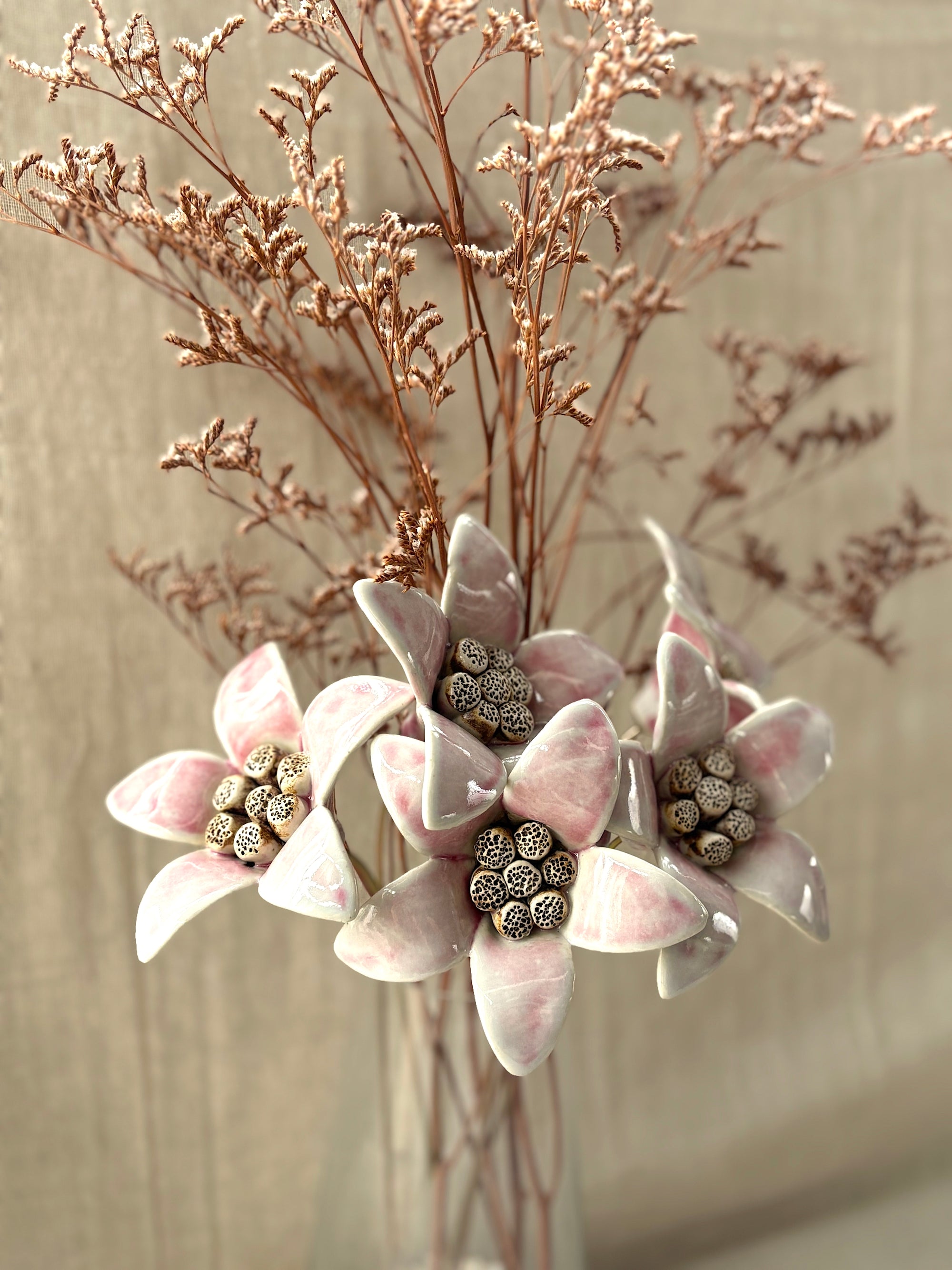Moon Magnolia Blushing White - Single Flower Stem