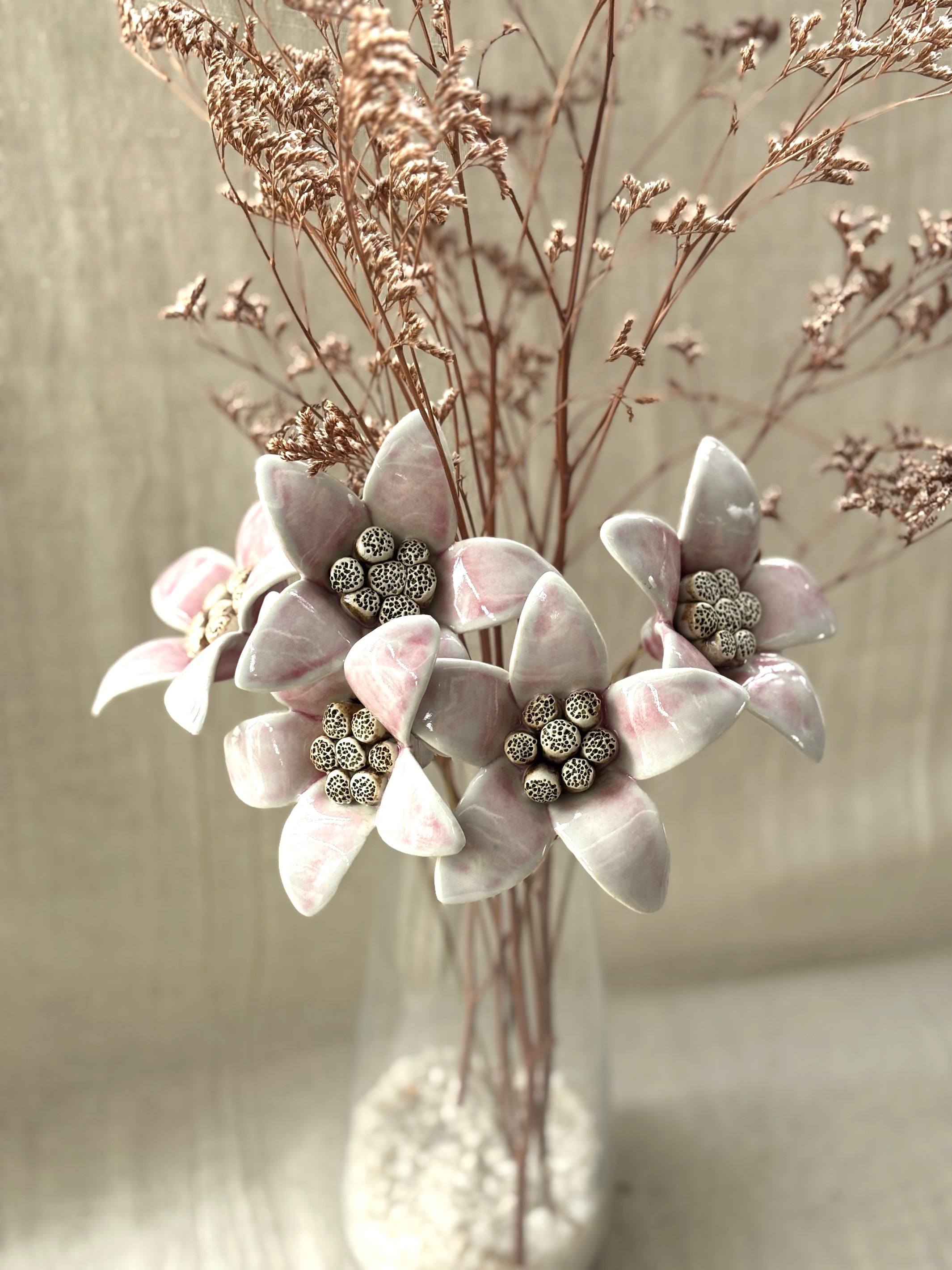 Moon Magnolia Blushing White - Single Flower Stem