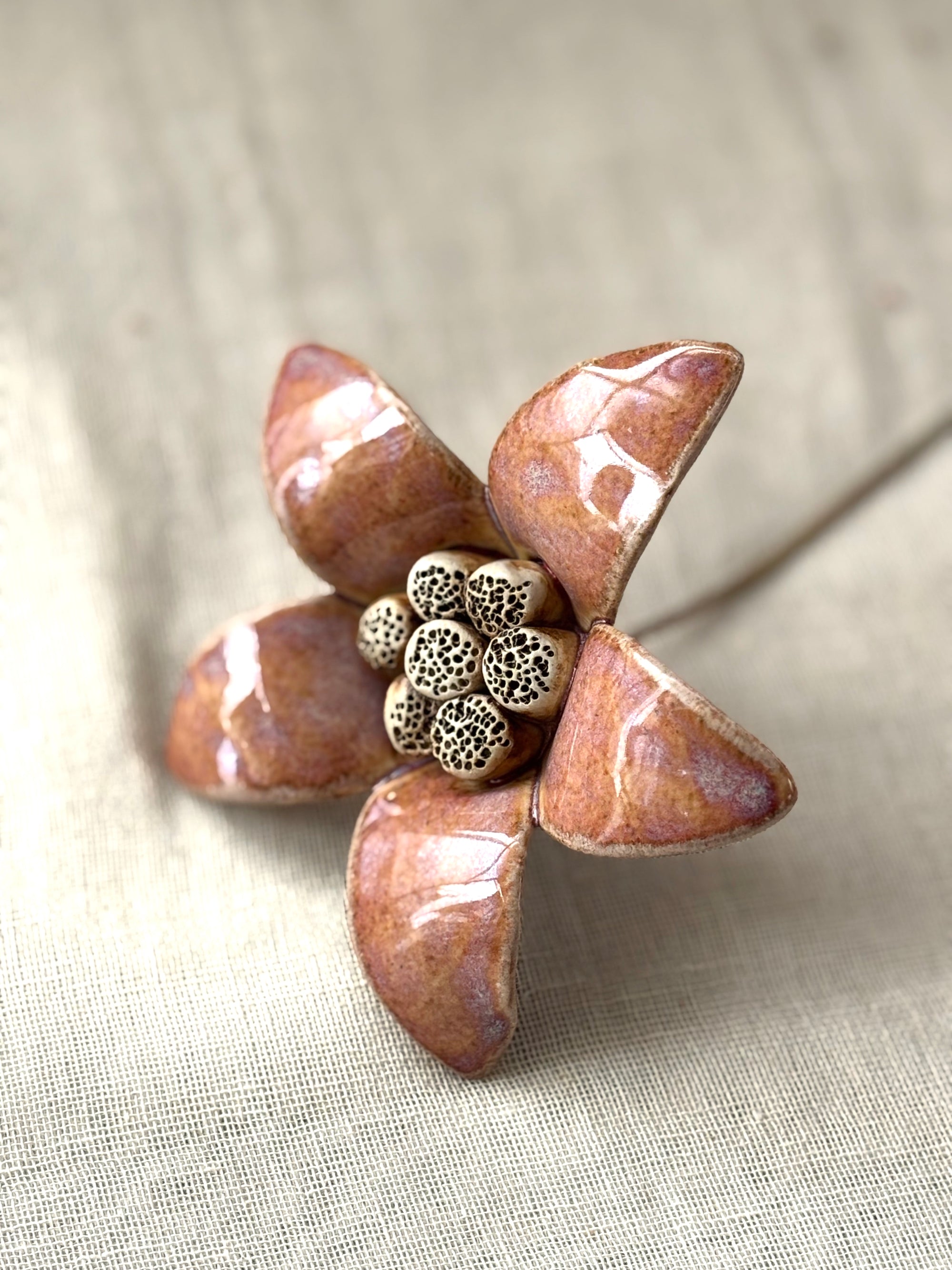 Moon Magnolia Cherry - Single Flower Stem