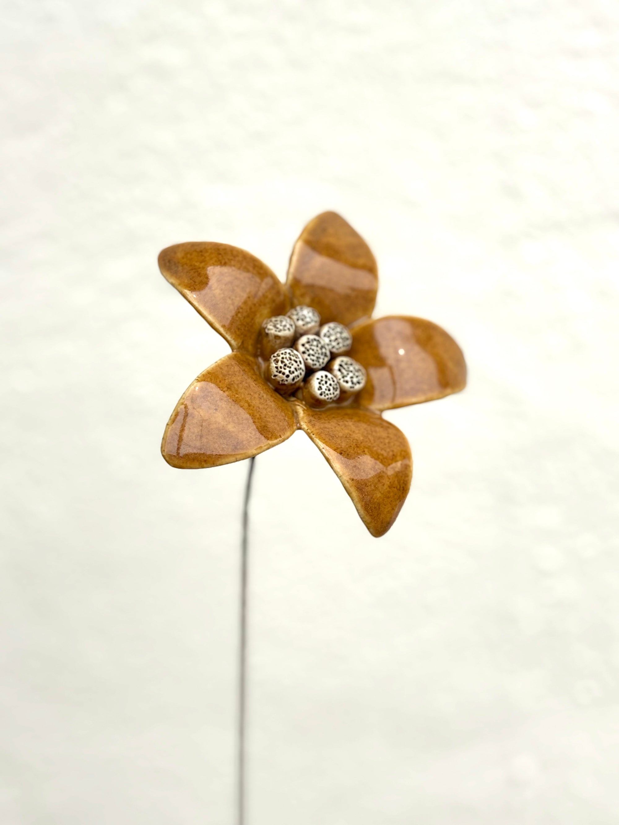 Moon Magnolia Mustard - Single Flower Stem