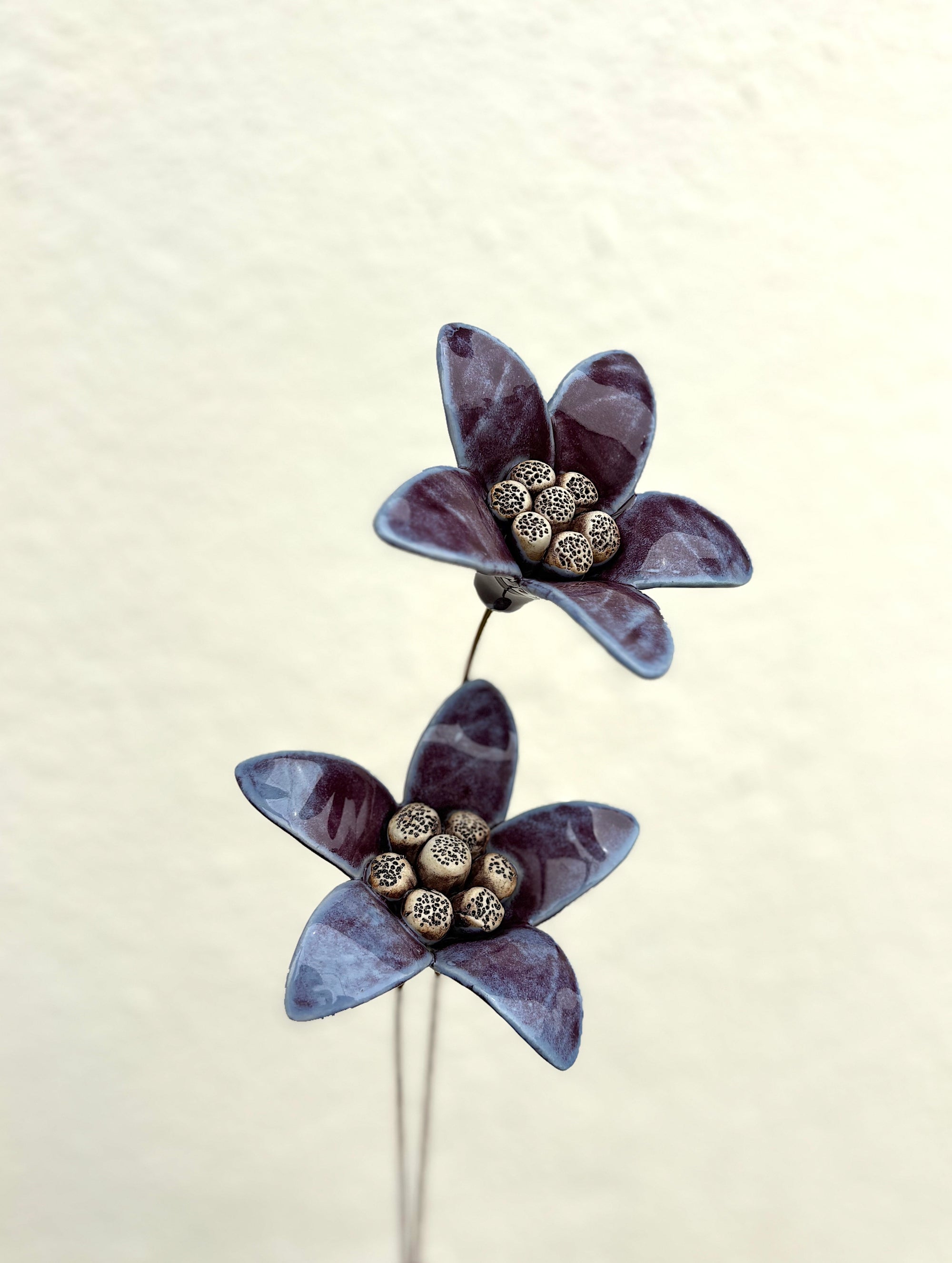 Moon Magnolia Purple - Single Flower Stem