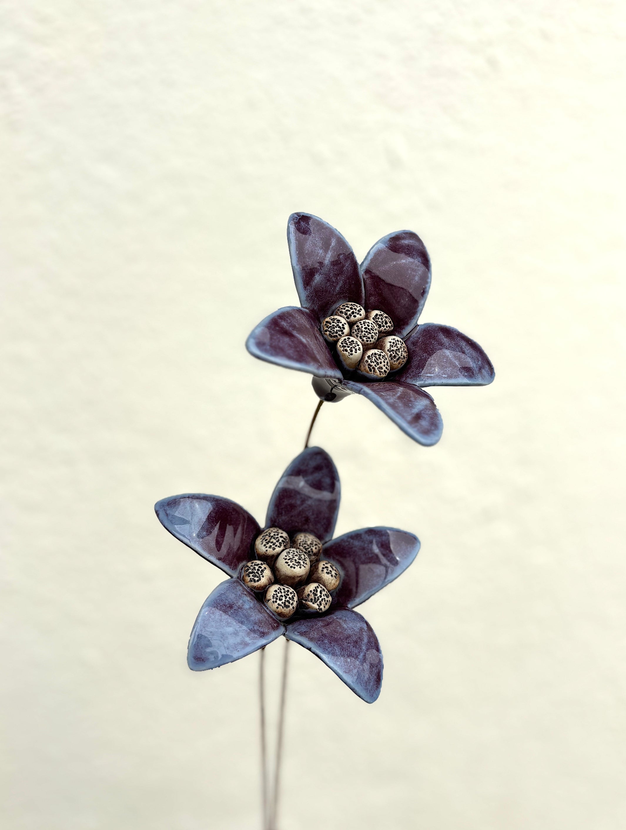 Moon Magnolia Purple - Single Flower Stem