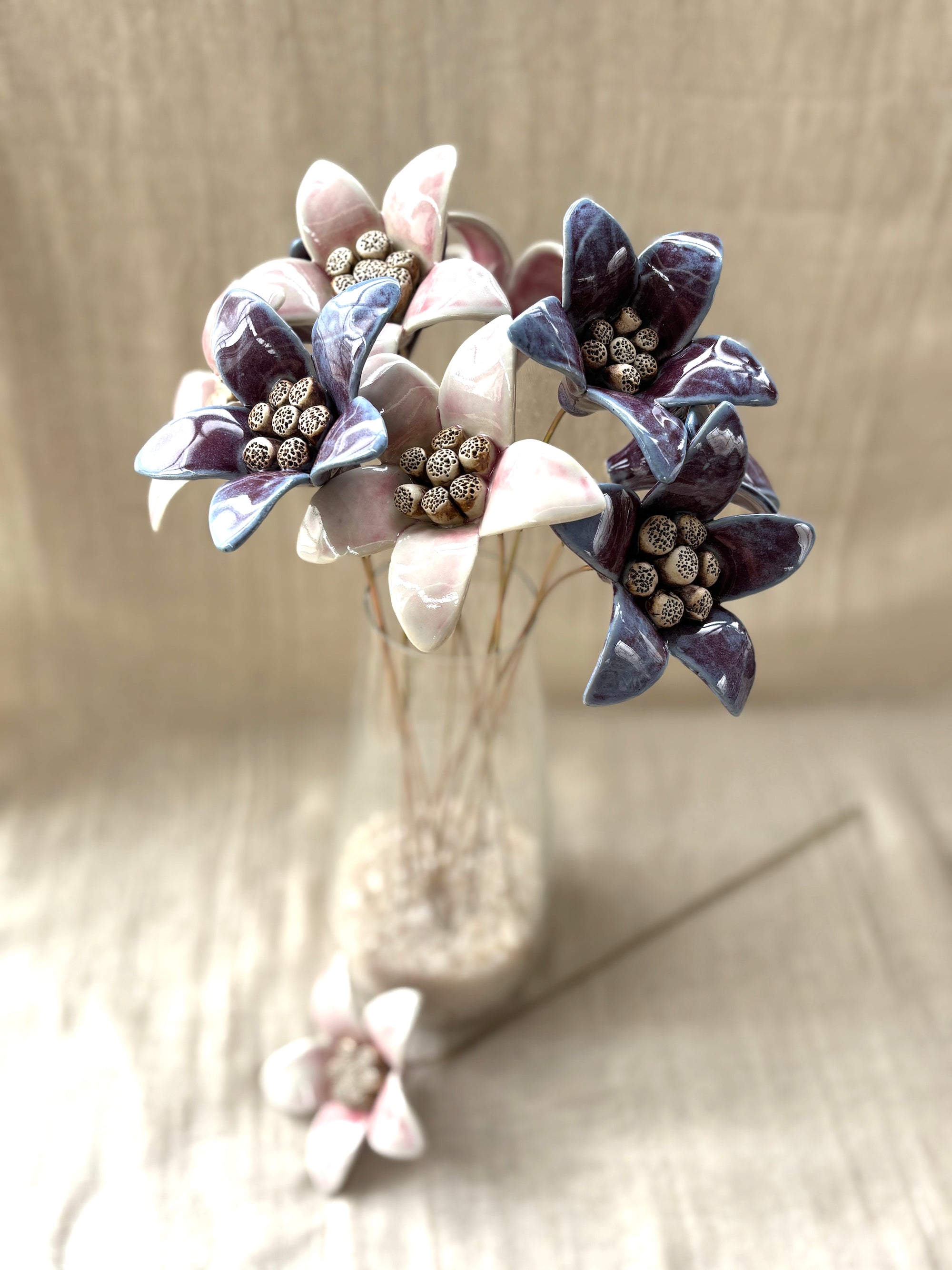 Moon Magnolia Blushing White - Single Flower Stem