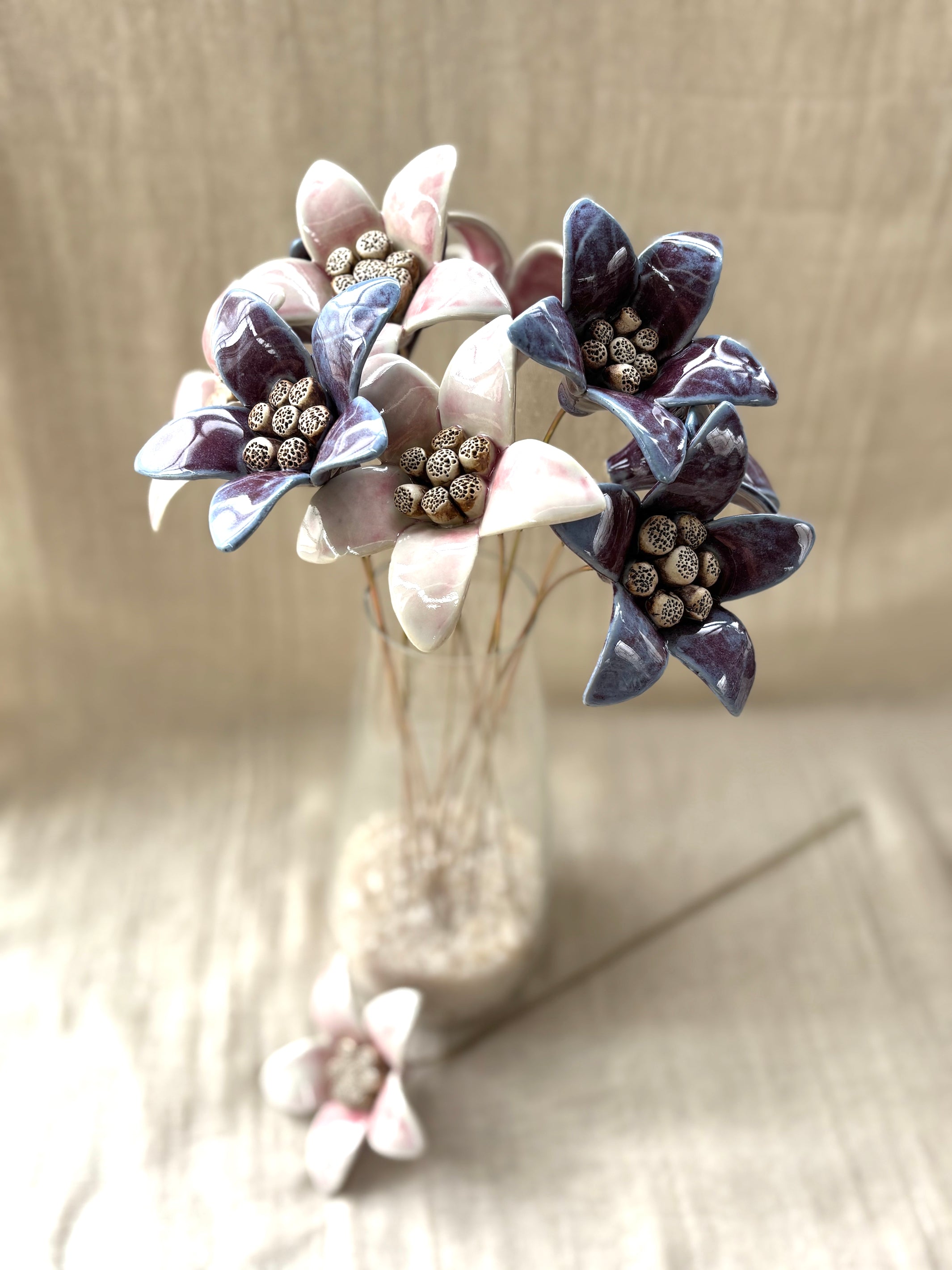 Moon Magnolia Blushing White - Single Flower Stem