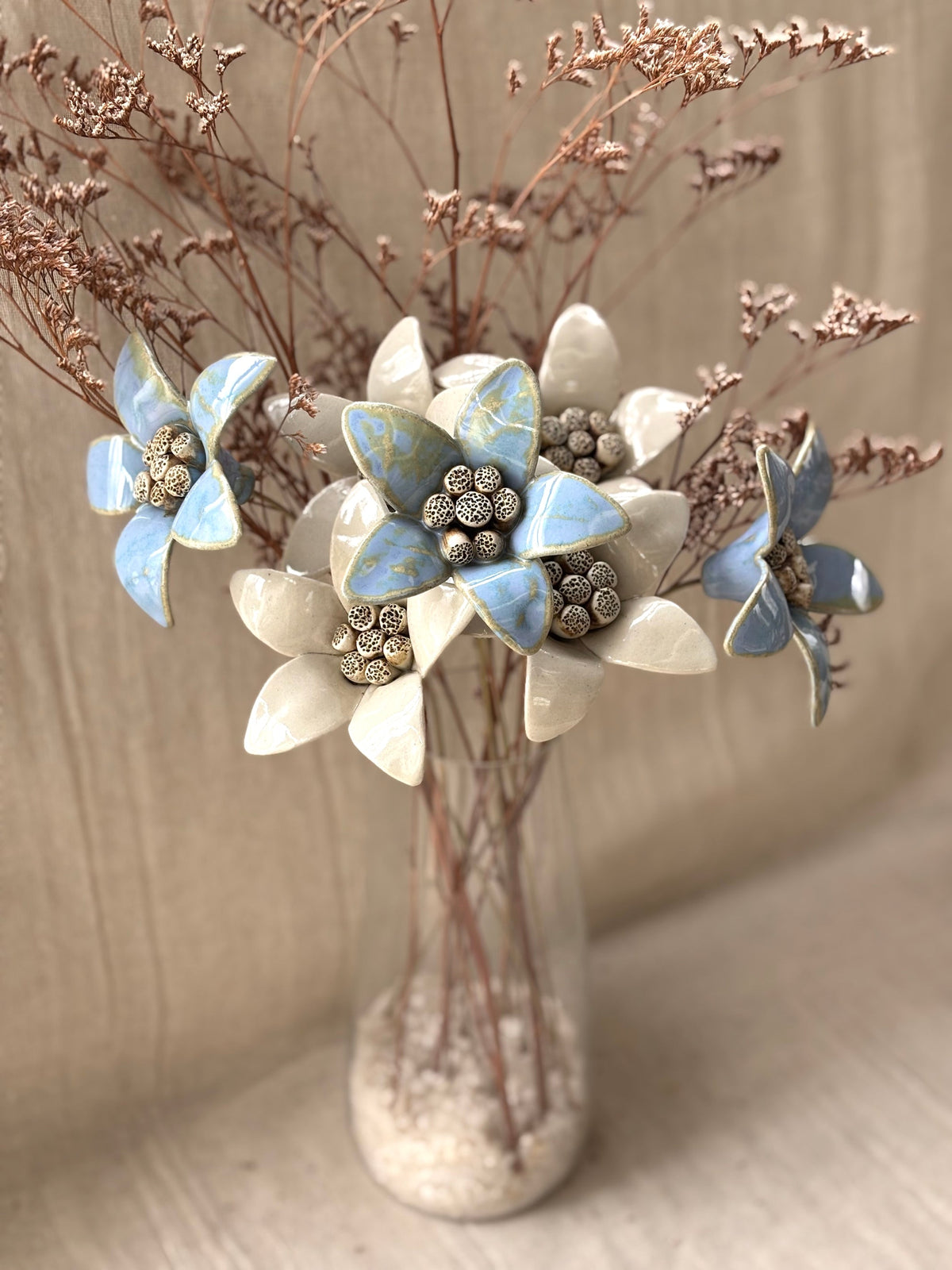 Moon Magnolia white - Single Flower Stem