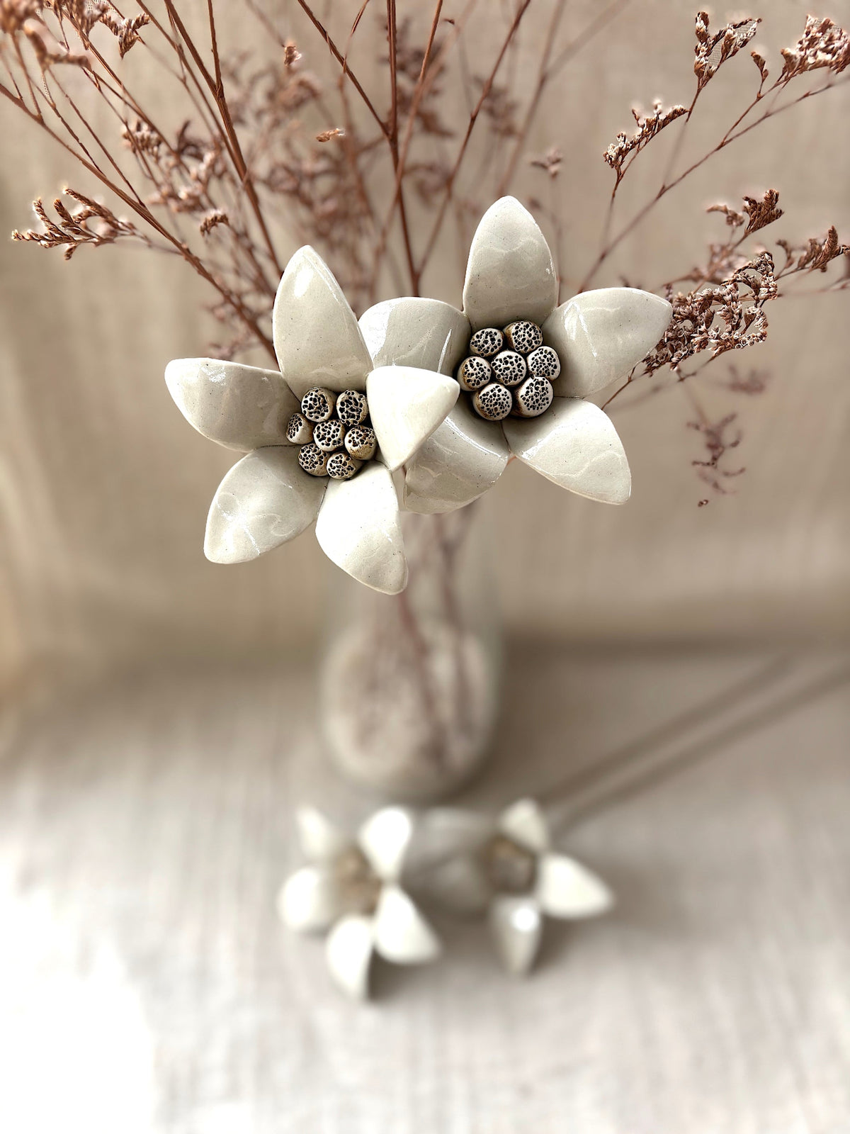 Moon Magnolia white - Single Flower Stem