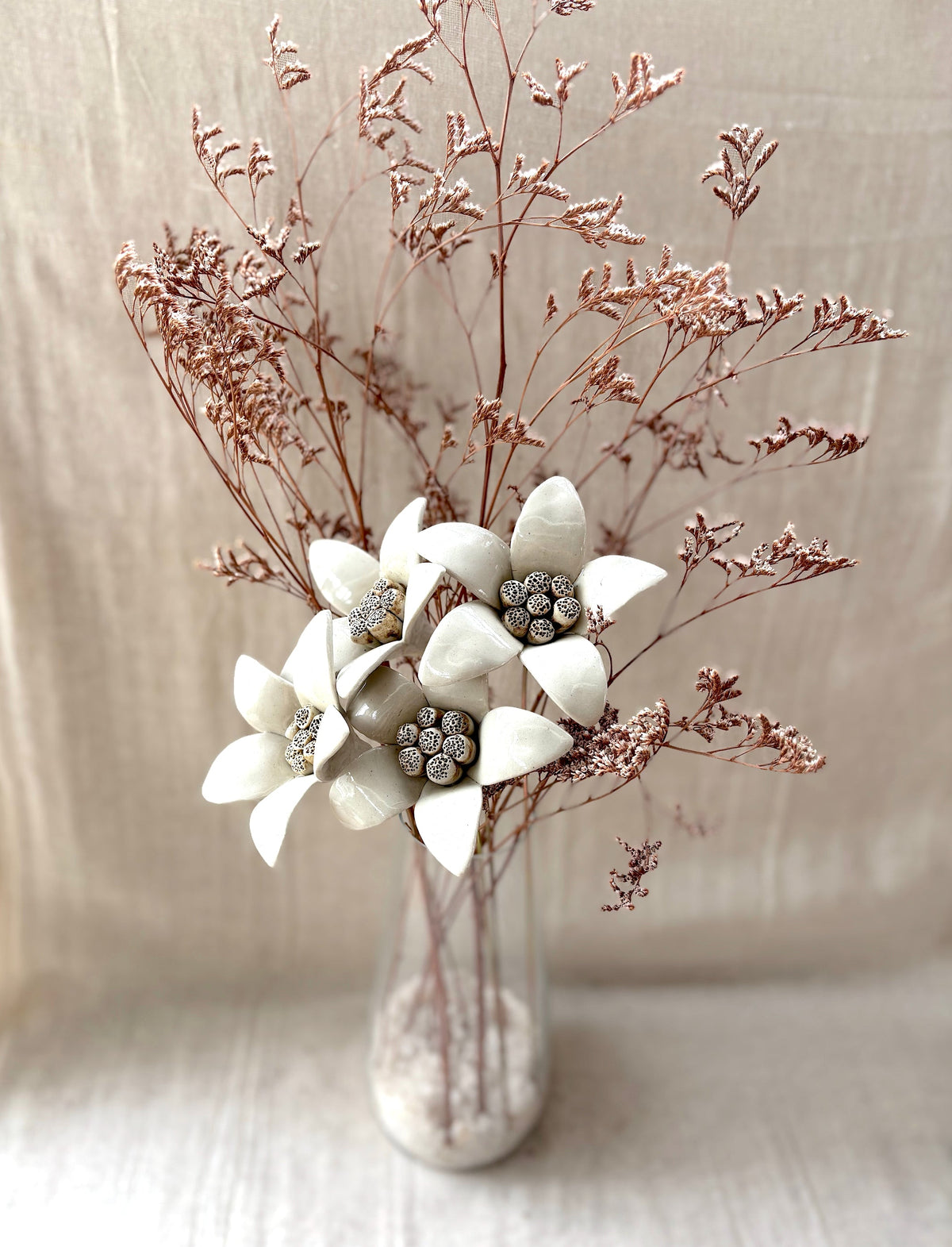 Moon Magnolia white - Single Flower Stem