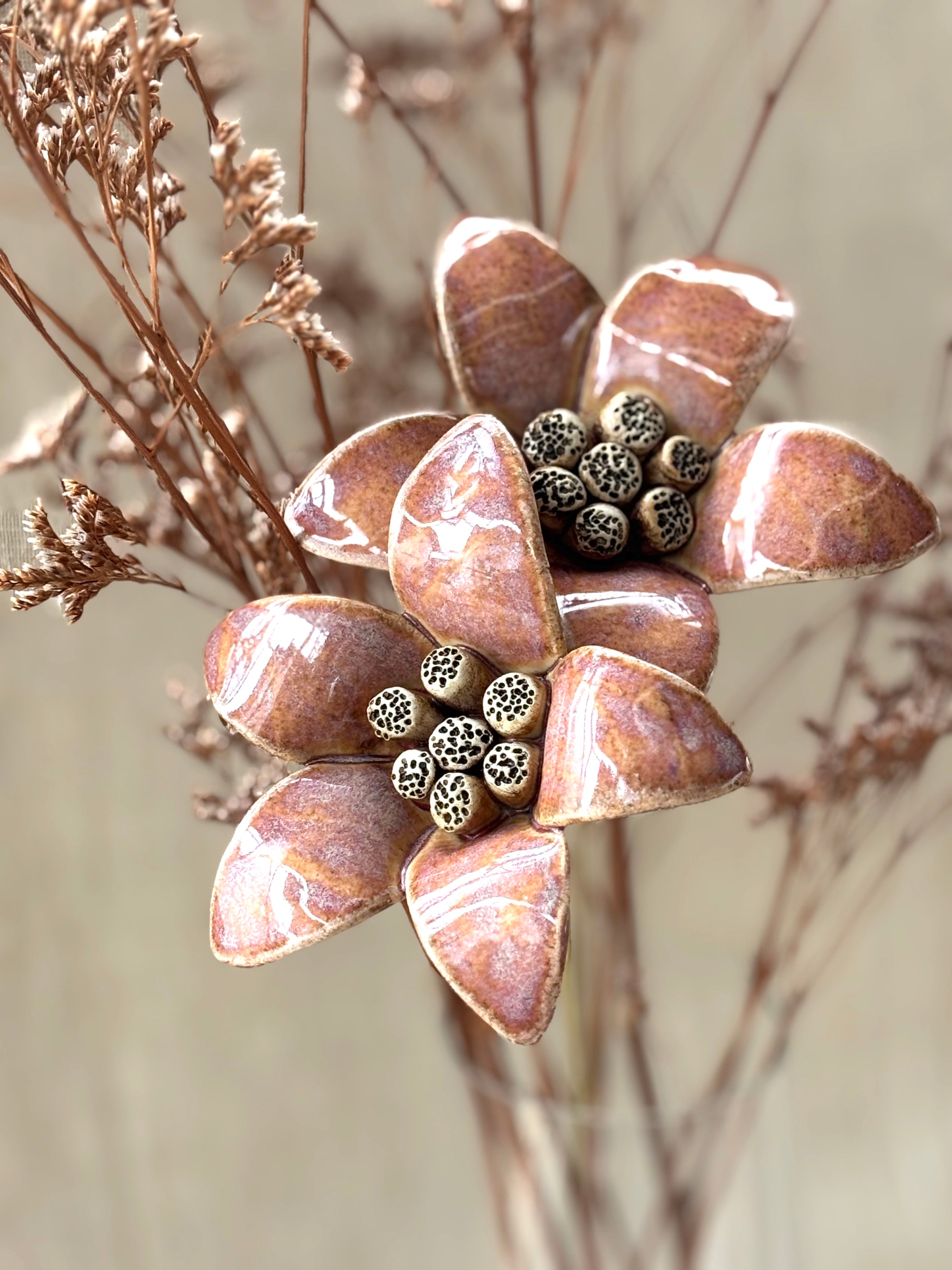 Moon Magnolia Cherry - Single Flower Stem